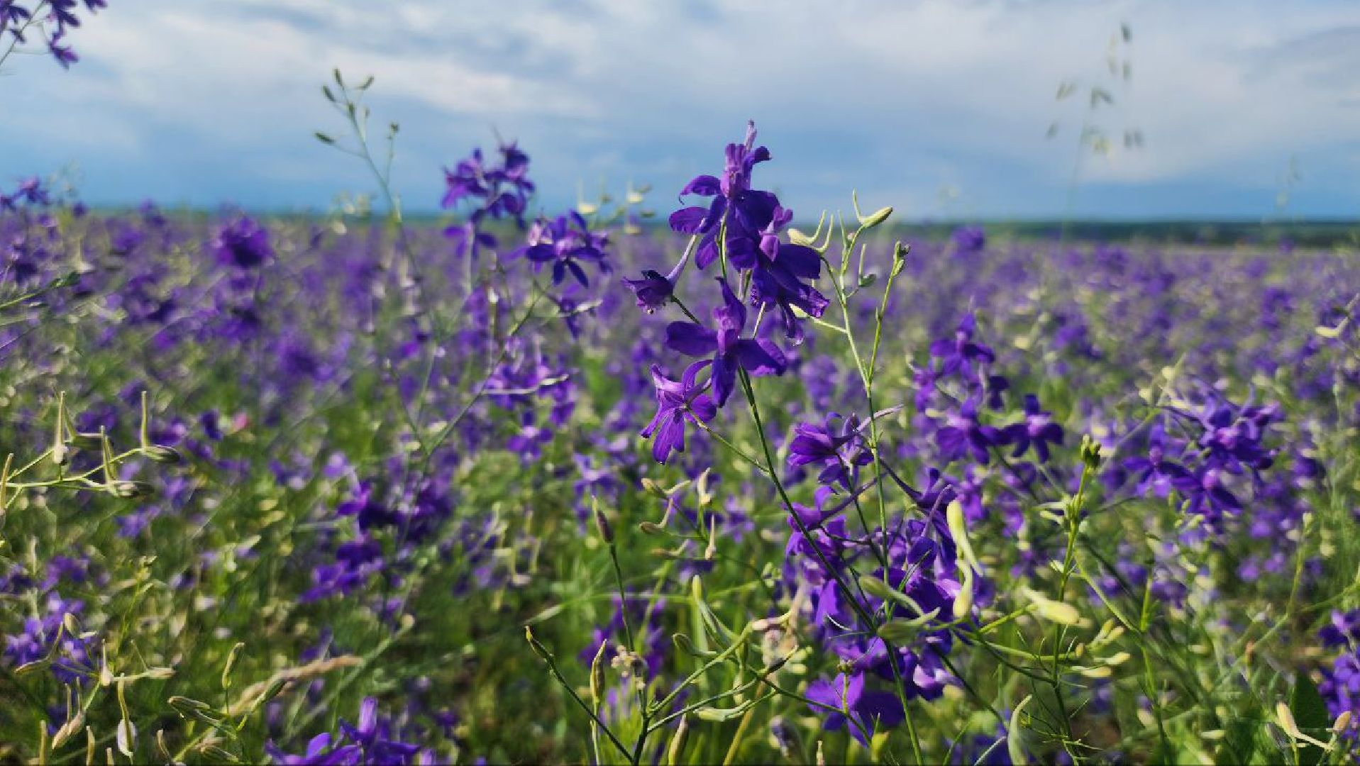 серебряные пруды, благодать, дудино,  локация для фотосессии,