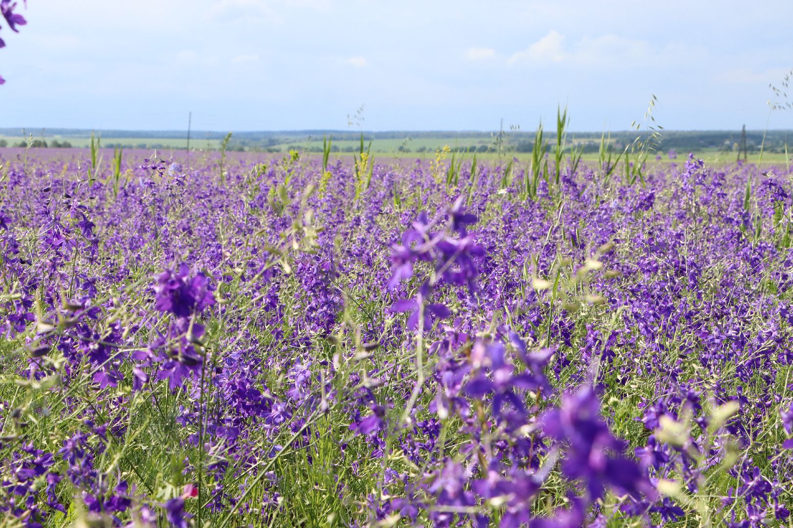 серебряные пруды, благодать, дудино,  локация для фотосессии,