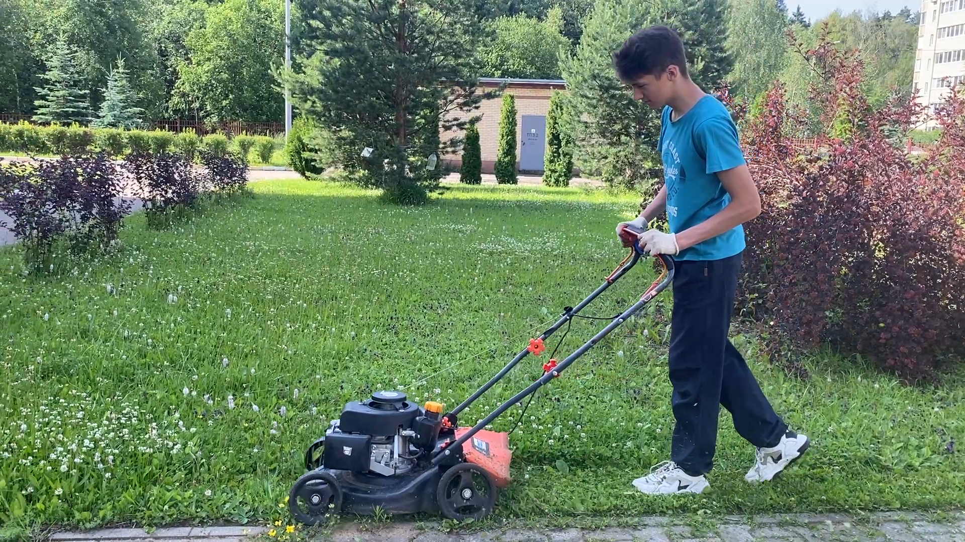 трудовые бригады перспектива, летний трудовой десант, школа перспектива, власиха перспектива, летняя трудовая бригада,