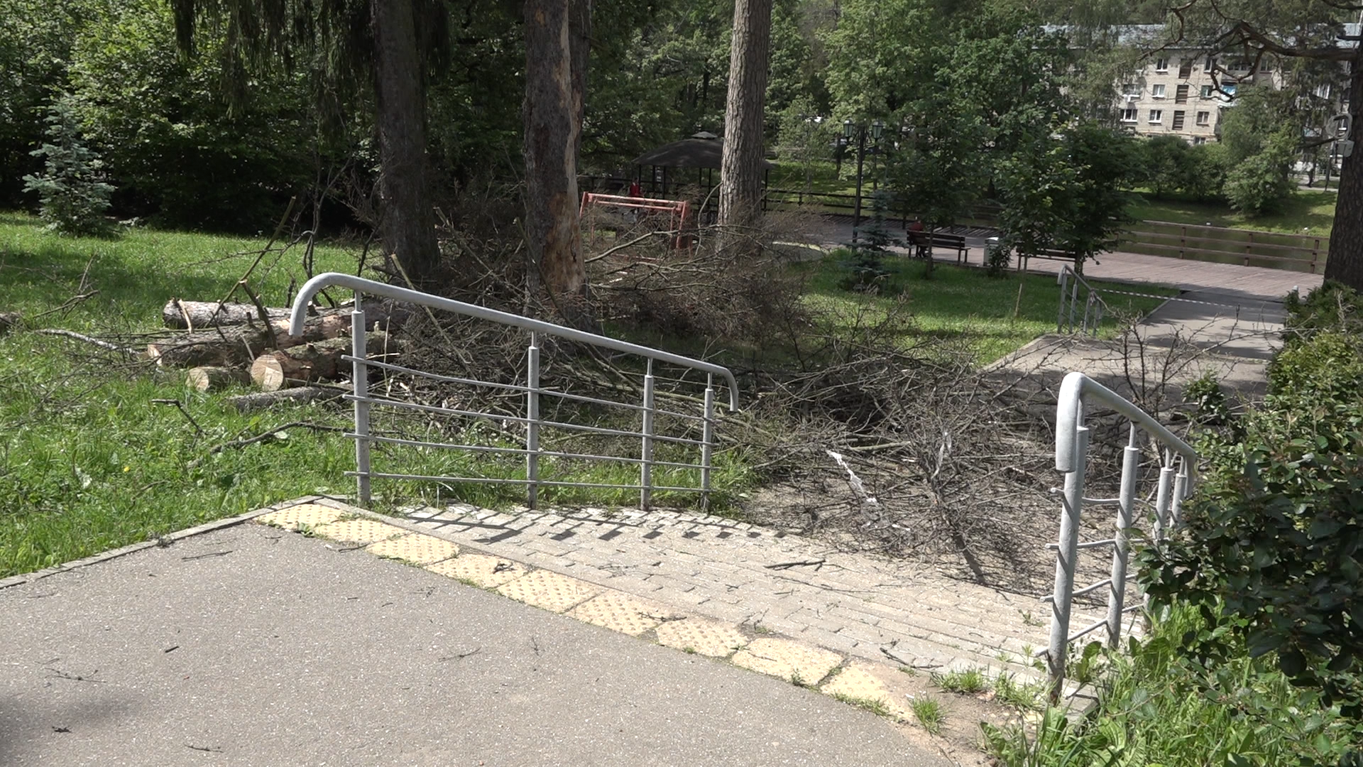 санитарная вырубка, сухое дерево, жкх и благоустройство, власиха цветной бульвар, тропа здоровья,