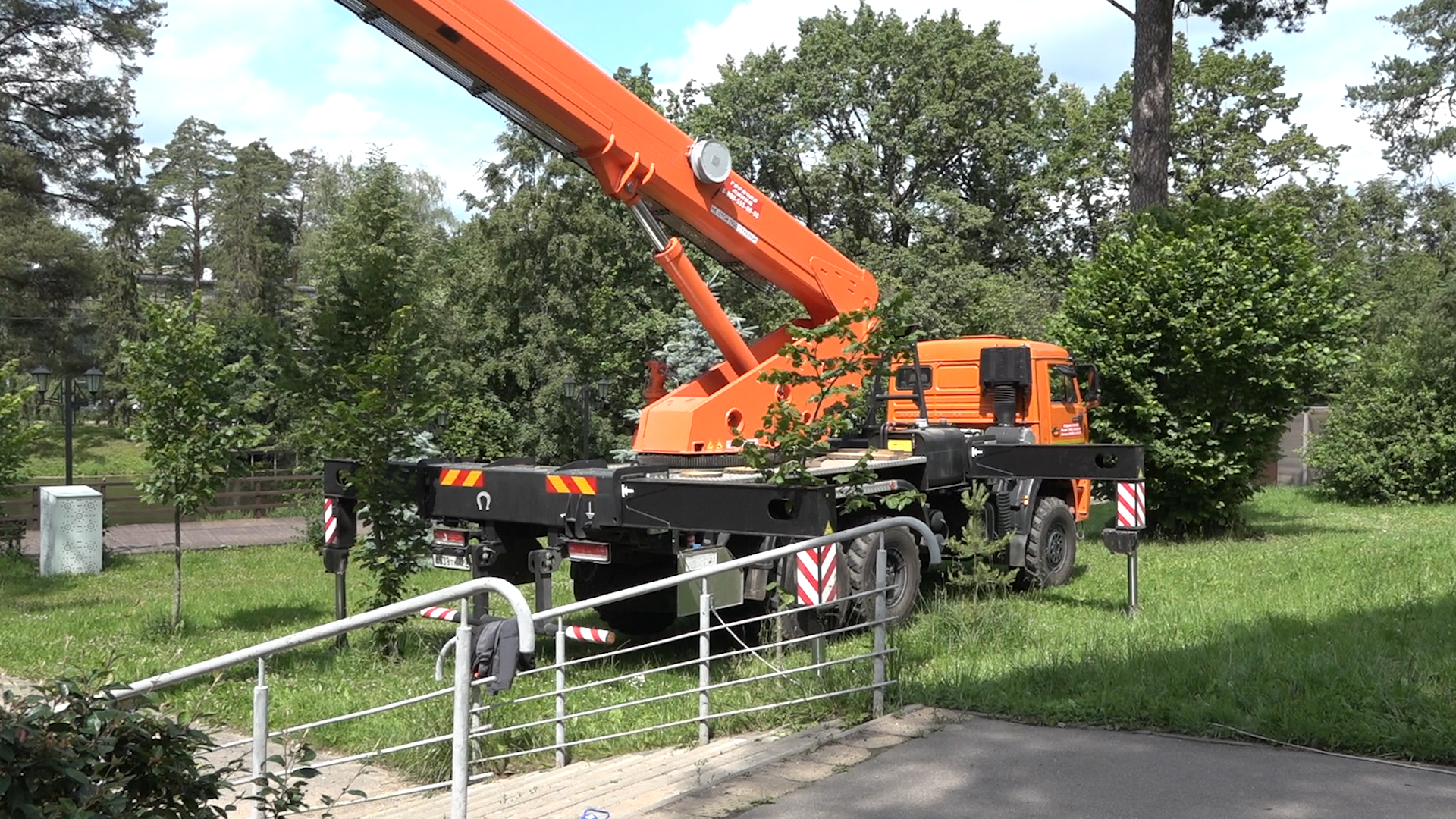 санитарная вырубка, сухое дерево, жкх и благоустройство, власиха цветной бульвар, тропа здоровья,