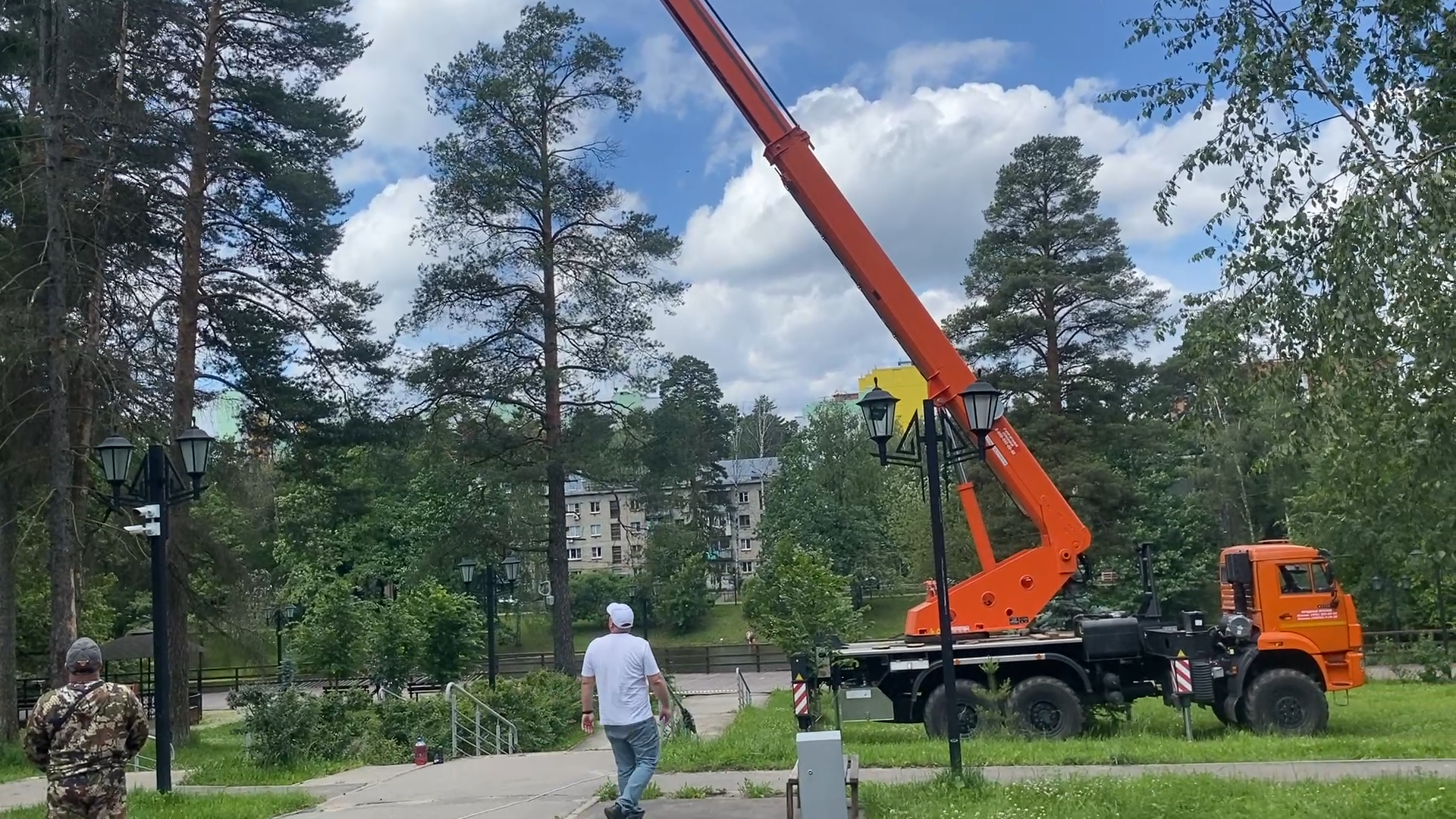 санитарная вырубка, сухое дерево, жкх и благоустройство, власиха цветной бульвар, тропа здоровья,