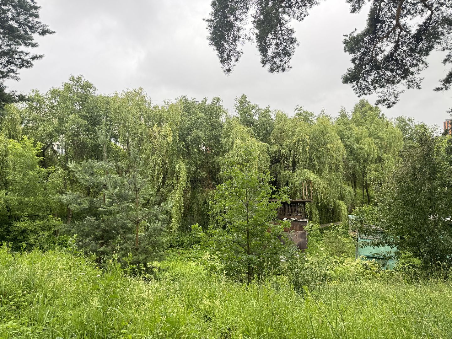 благоустройство в ленинском округе, тимоховский парк, ленинский городской округ,