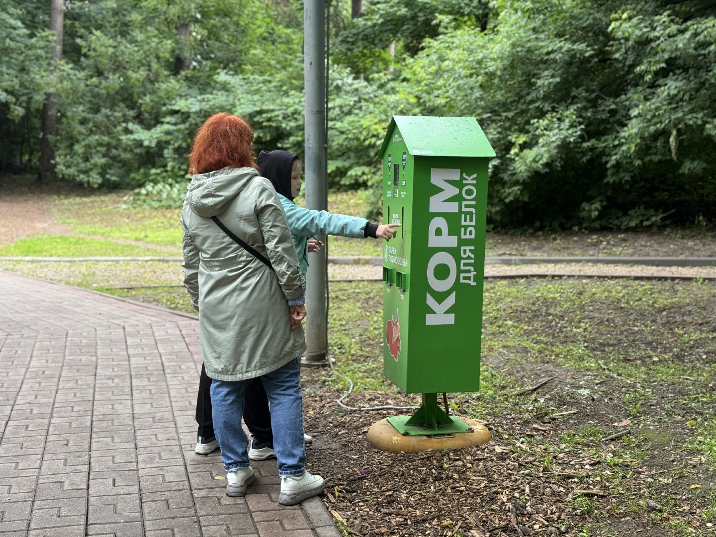 благоустройство в ленинском округе, тимоховский парк, ленинский городской округ,