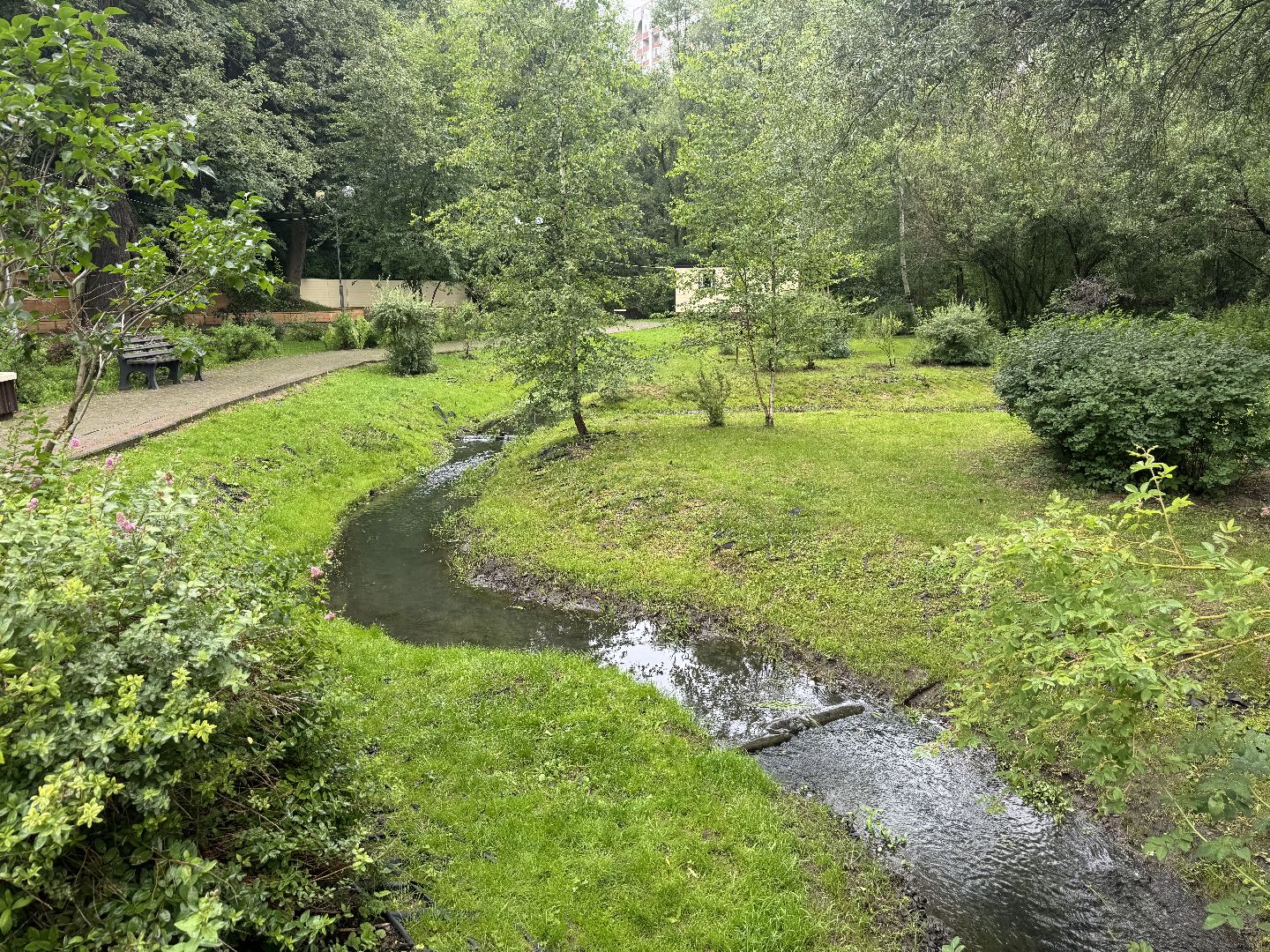 благоустройство в ленинском округе, тимоховский парк, ленинский городской округ,