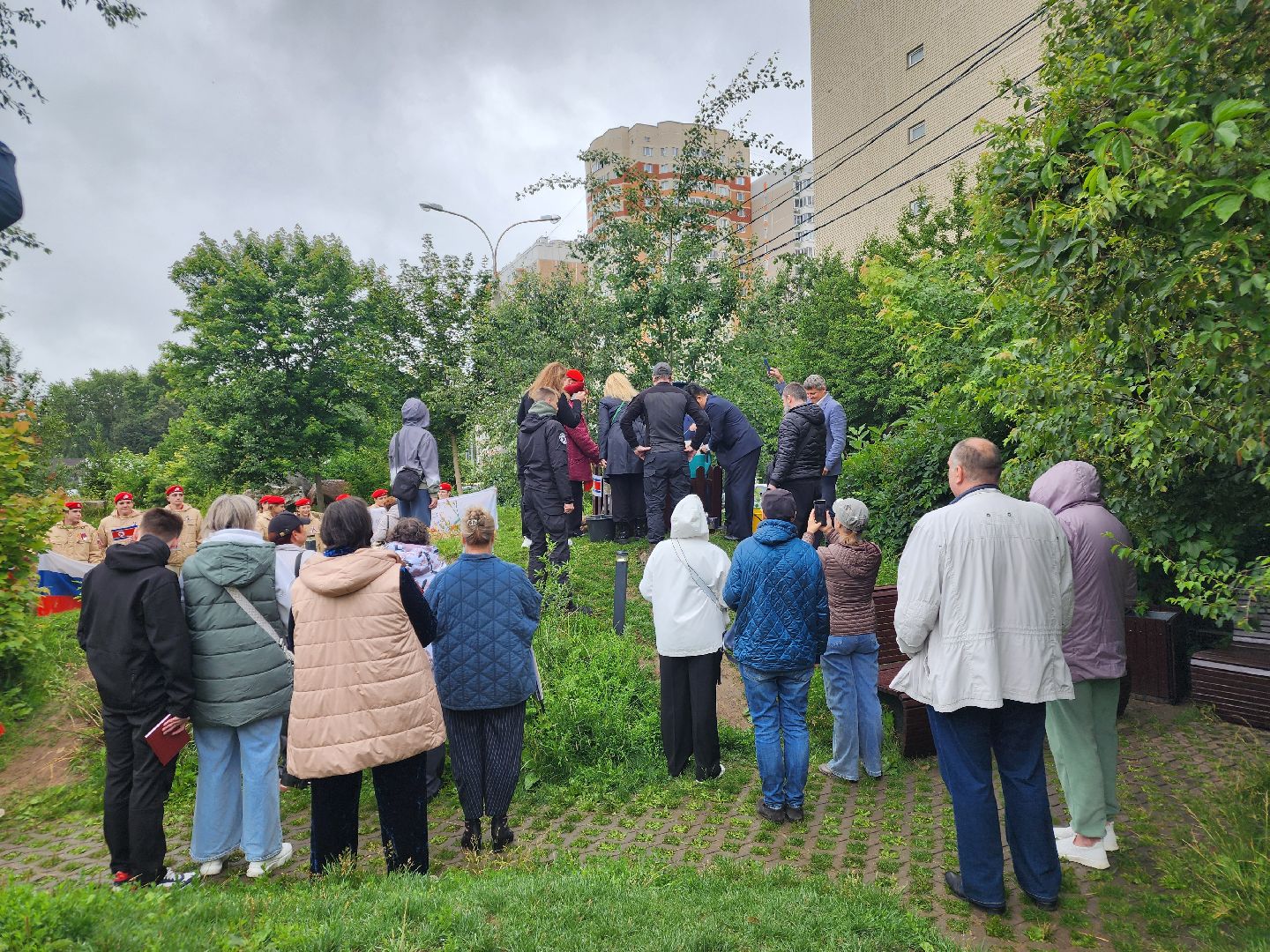 подольск, сад камней, Кедры из Кореи,