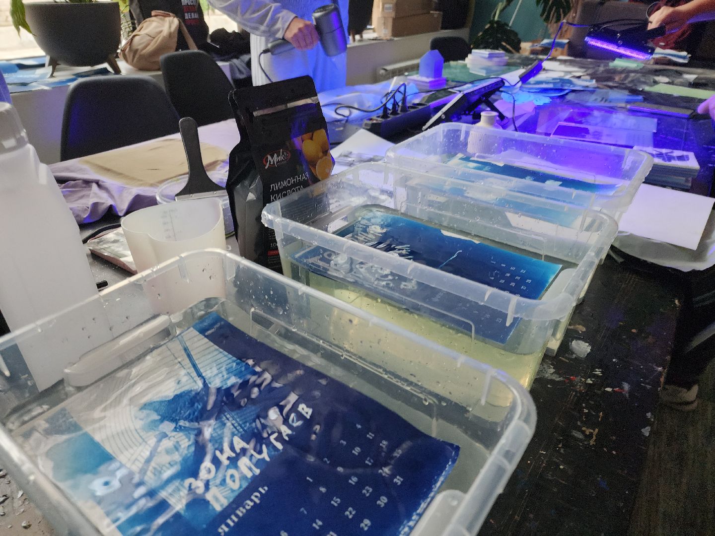 Черноголовка, Цианотипия, Мастер-класс,