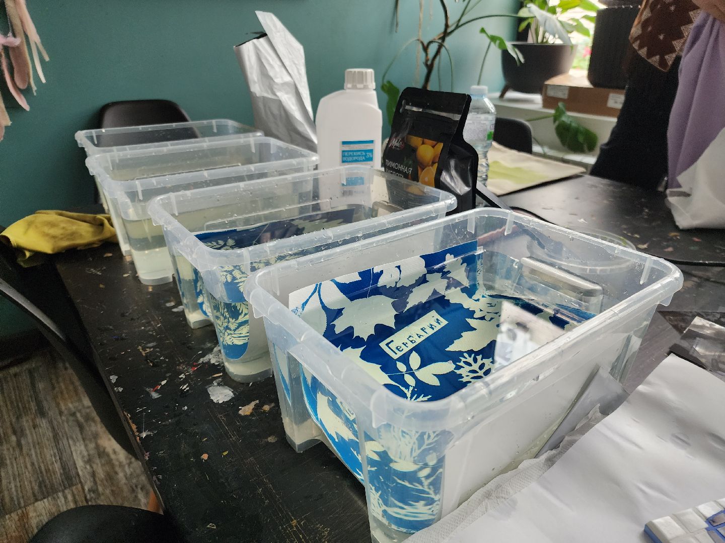 Черноголовка, Цианотипия, Мастер-класс,