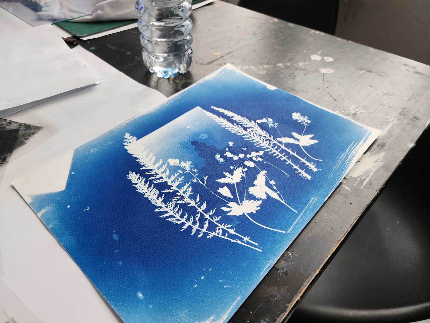 Черноголовка, Цианотипия, Мастер-класс,