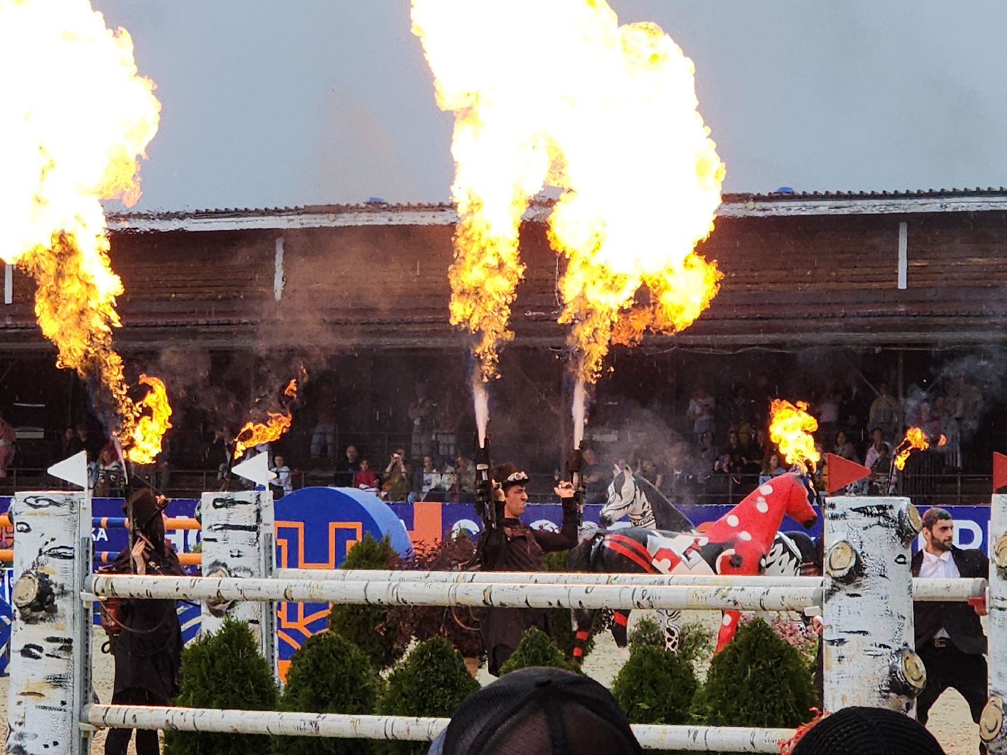 Черноголовка, Конный спорт, конкур,