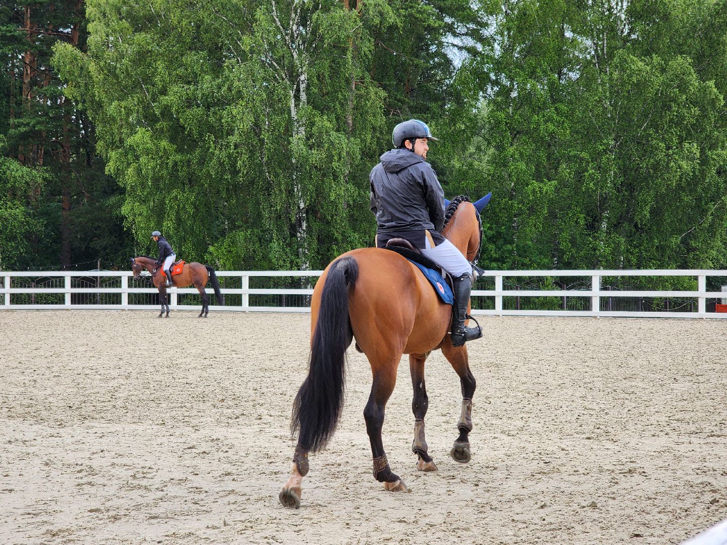Черноголовка, Конный спорт, конкур,