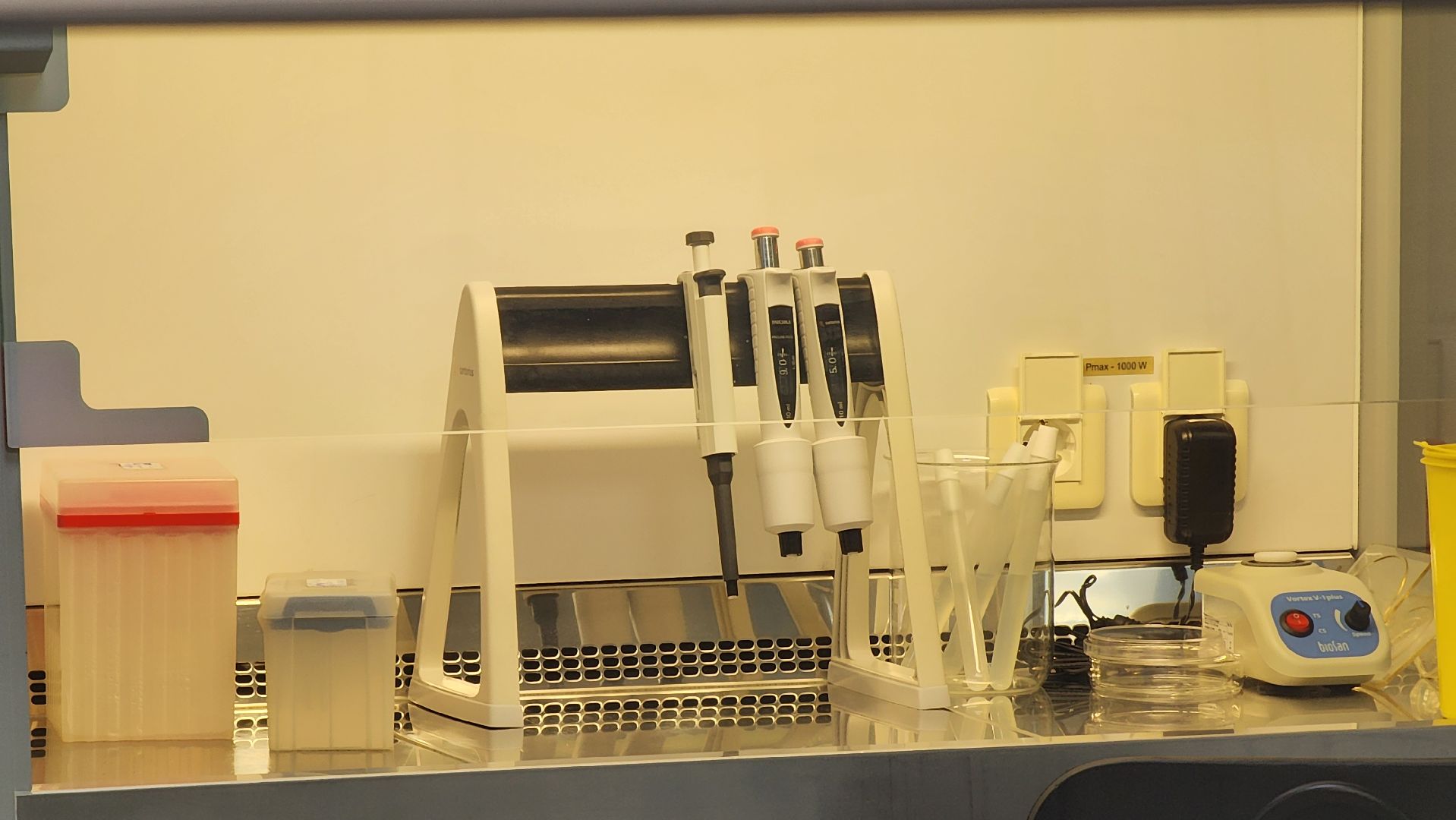 руза, экономика, тучково, роботизация,