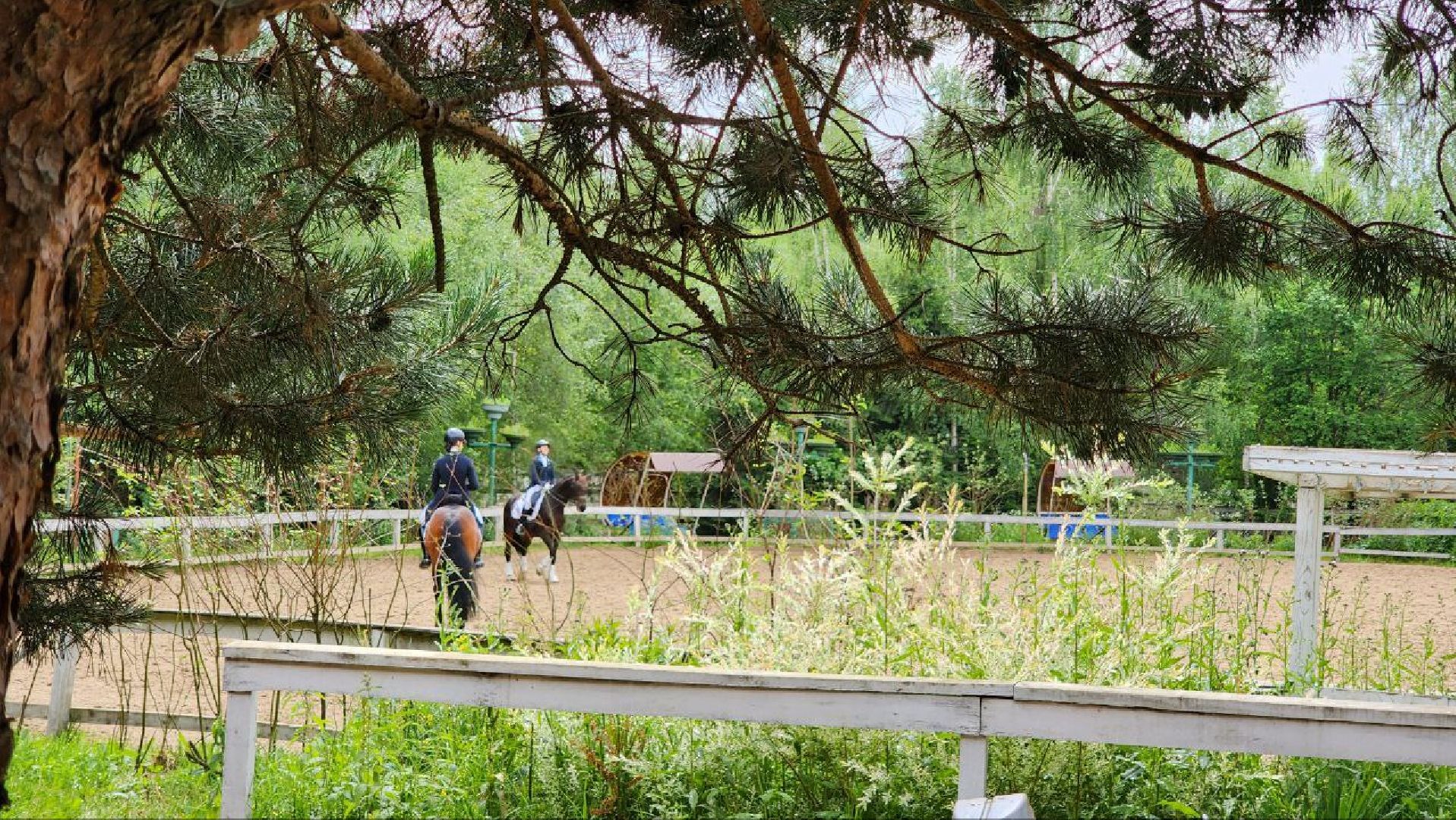 Дмитров, Клуб Русский алмаз, Конный спорт, Регина Исачкина, Минспорта,