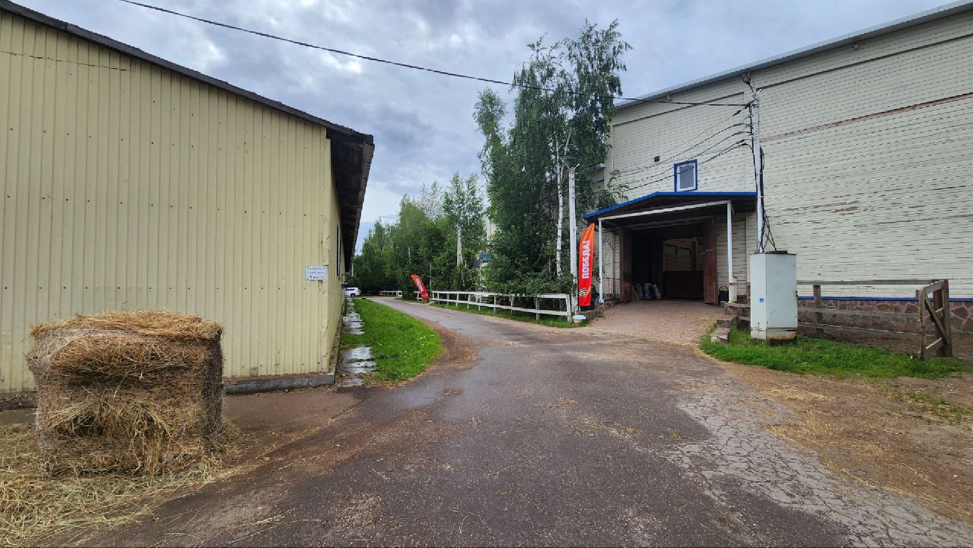 Дмитров, Клуб Русский алмаз, Конный спорт, Регина Исачкина, Минспорта,