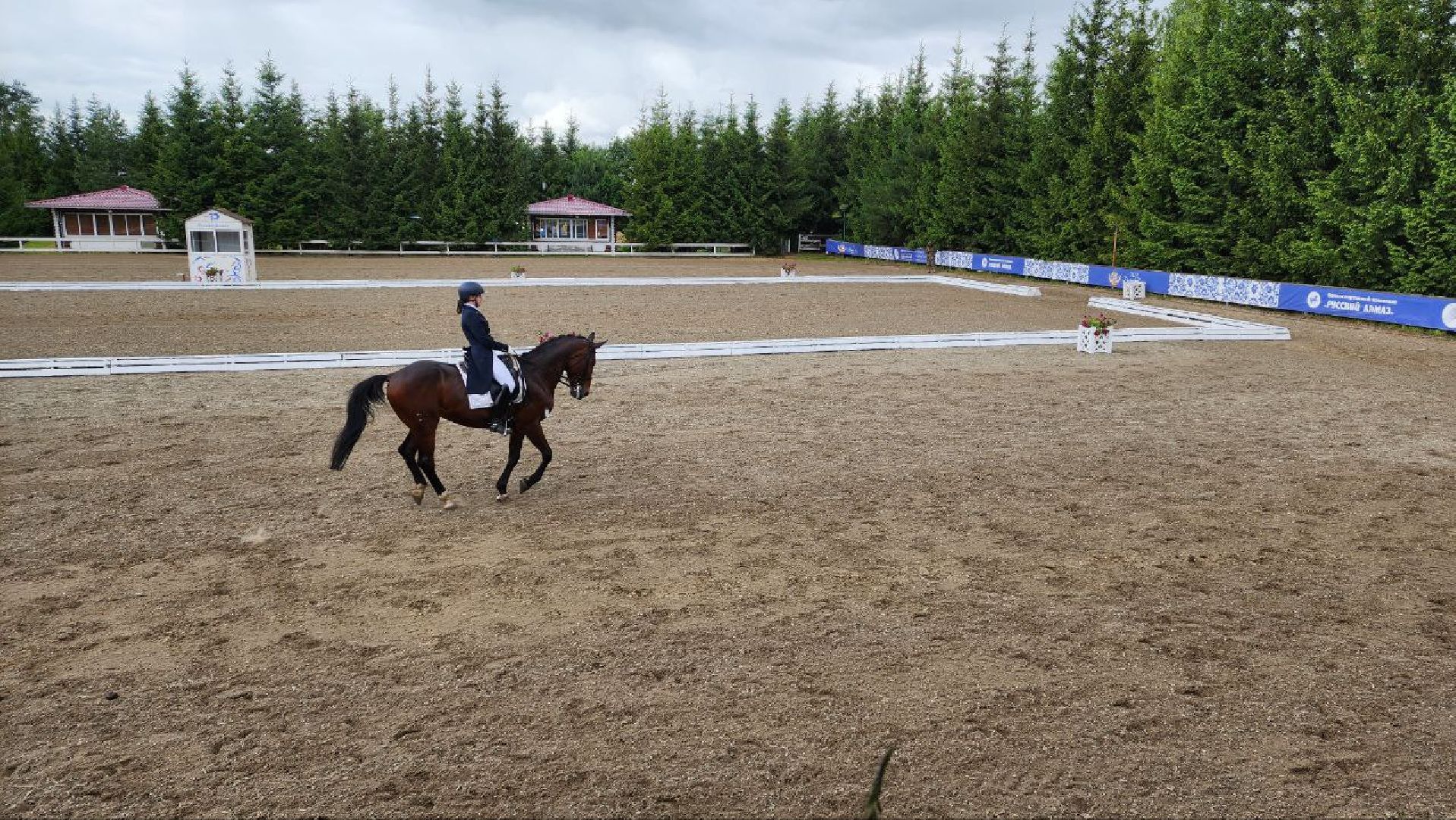 Дмитров, Клуб Русский алмаз, Конный спорт, Регина Исачкина, Минспорта,