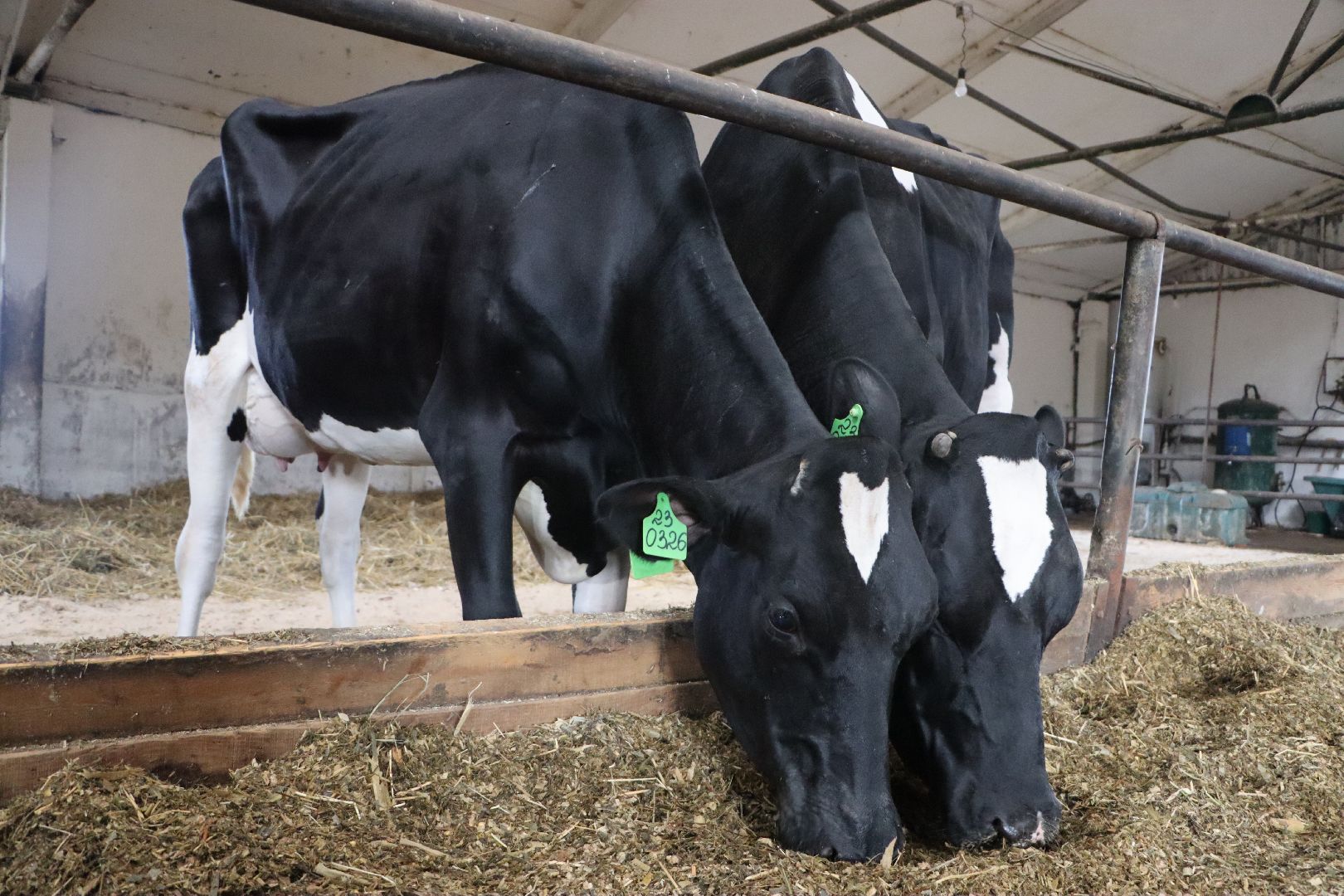 серебряные пруды, сп нива, звезды подмосковья-2025, сельское хозяйство,