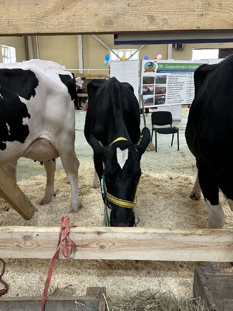 серебряные пруды, сп нива, звезды подмосковья-2025, сельское хозяйство,