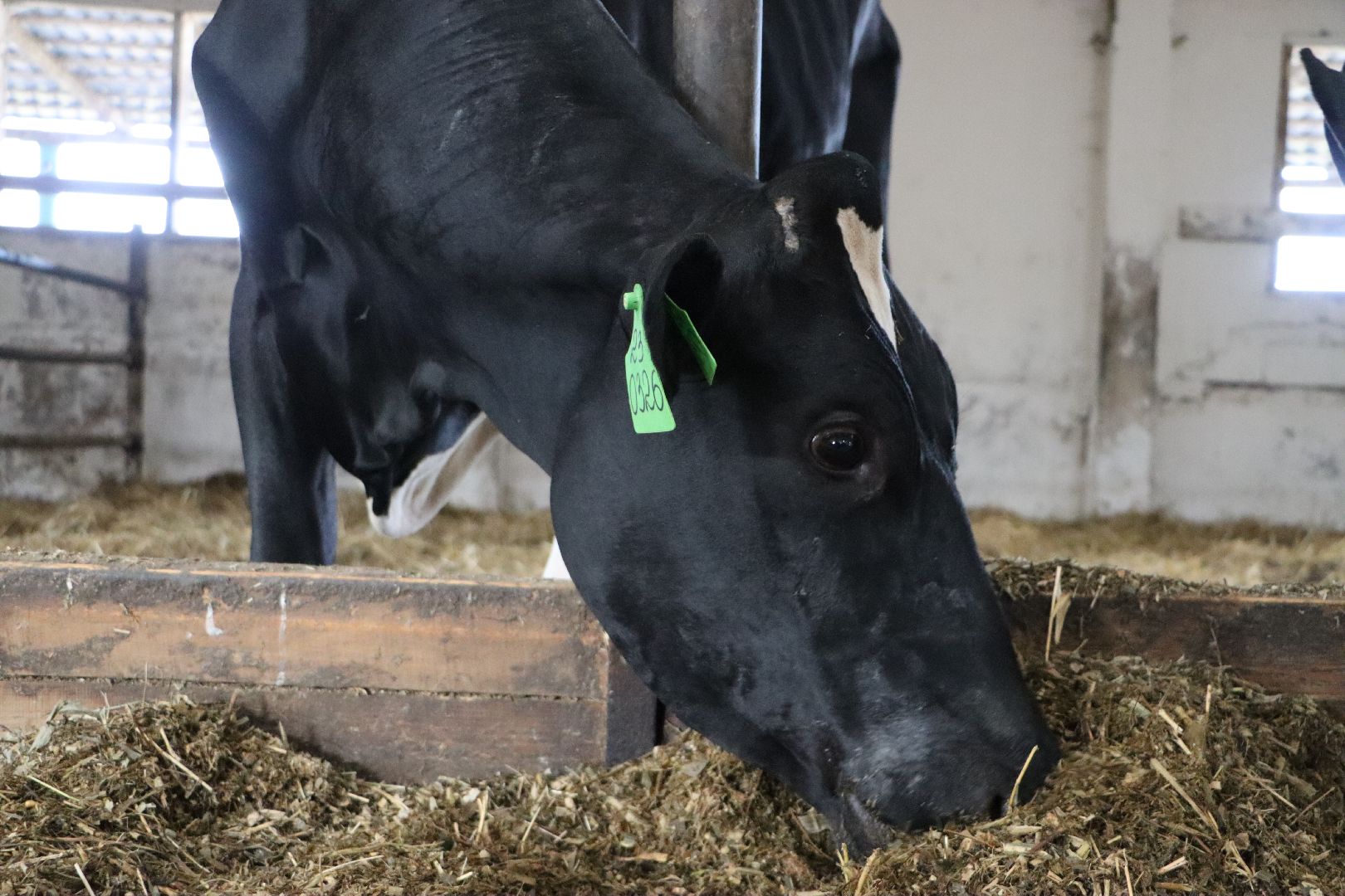 серебряные пруды, сп нива, звезды подмосковья-2025, сельское хозяйство,