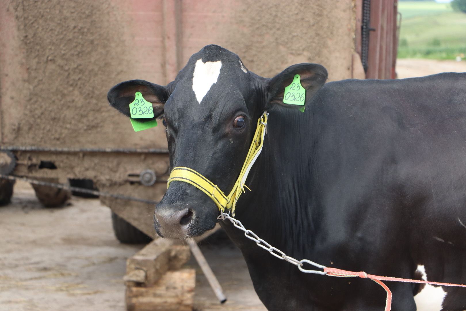 серебряные пруды, сп нива, звезды подмосковья-2025, сельское хозяйство,