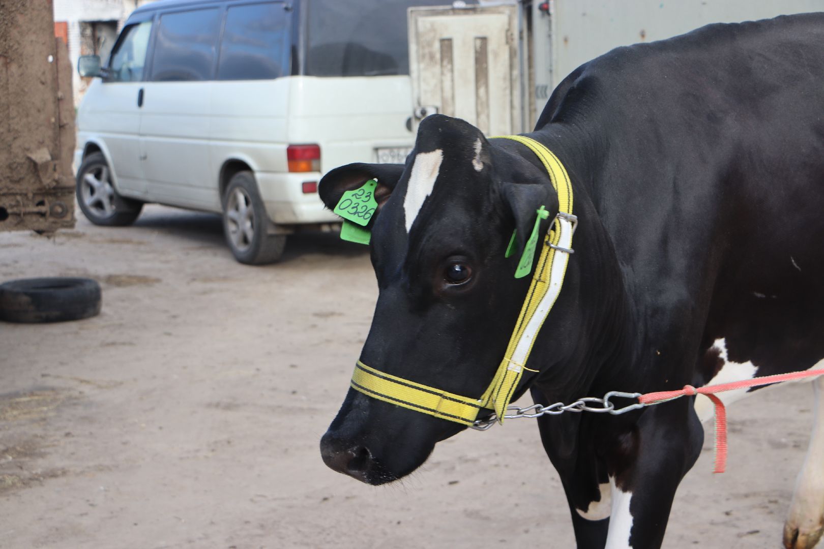 серебряные пруды, сп нива, звезды подмосковья-2025, сельское хозяйство,