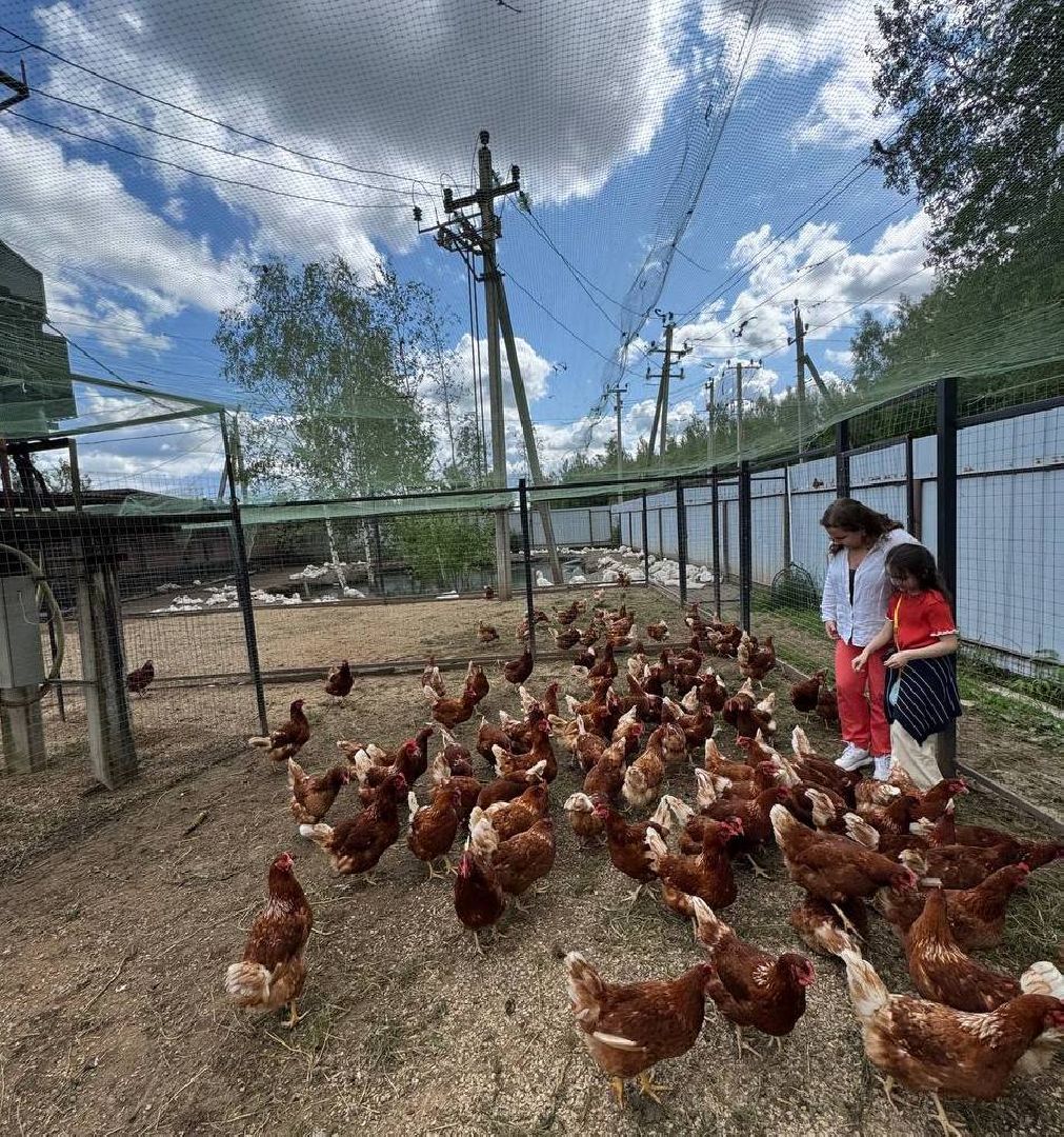 вертикалки, усадьба, экоферма, экологическое хозяйство,фермерское хозяйство,пушкинский округ,фермерские продукты,сельское хозяйство,