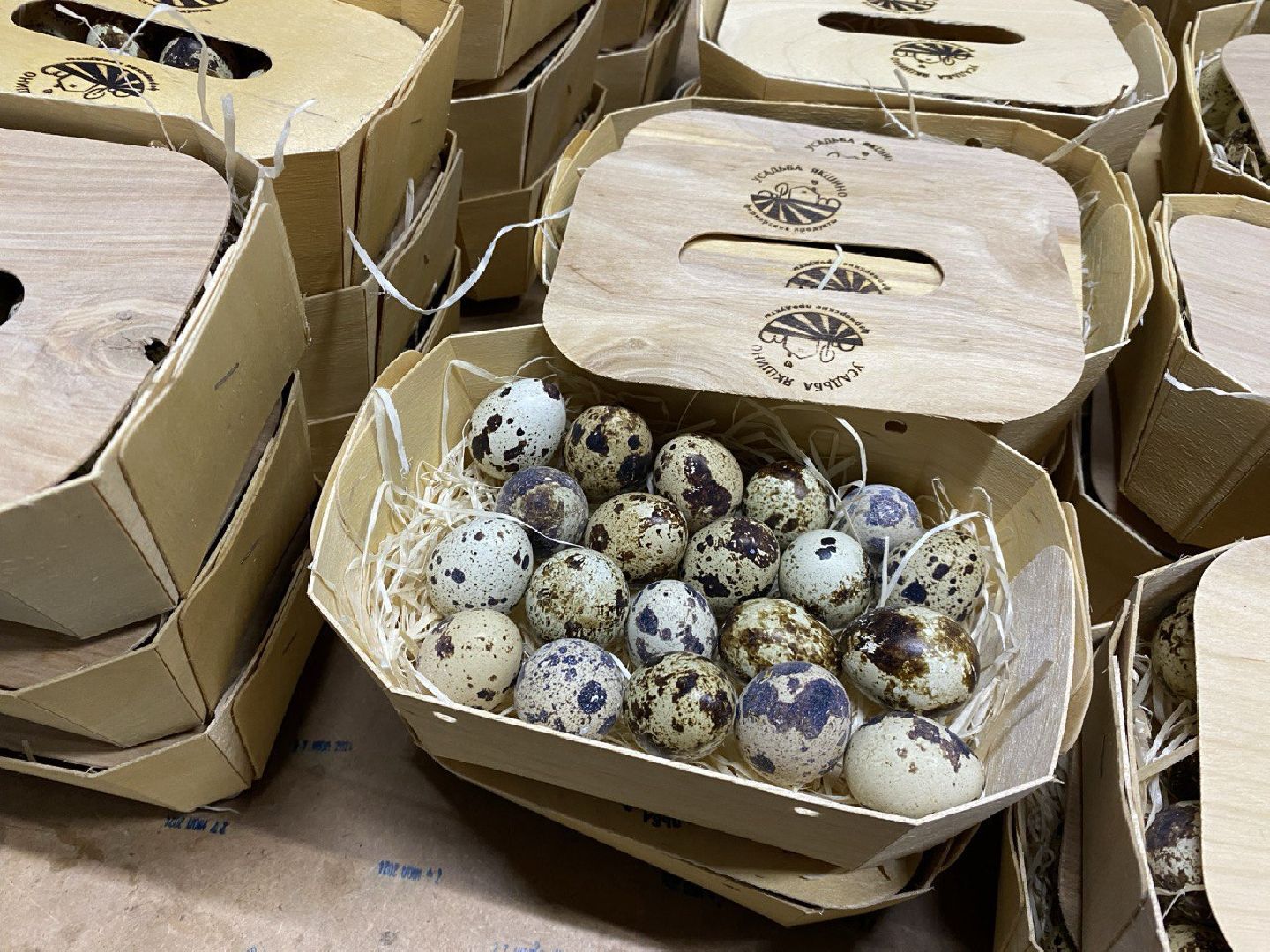 вертикалки, усадьба, экоферма, экологическое хозяйство,фермерское хозяйство,пушкинский округ,фермерские продукты,сельское хозяйство,