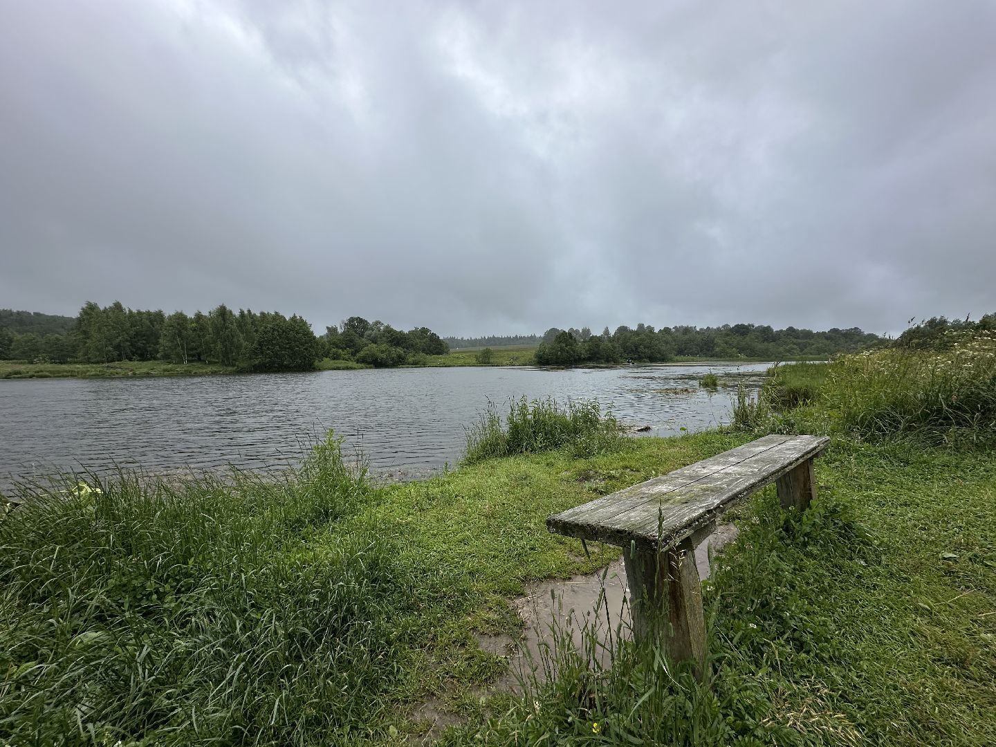 экология, 100 прудов и озер, расчистка пруда, пушкинский городской округ,