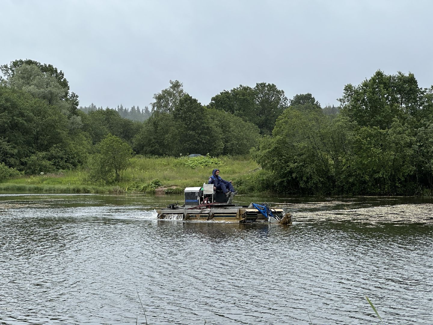 экология, 100 прудов и озер, расчистка пруда, пушкинский городской округ,