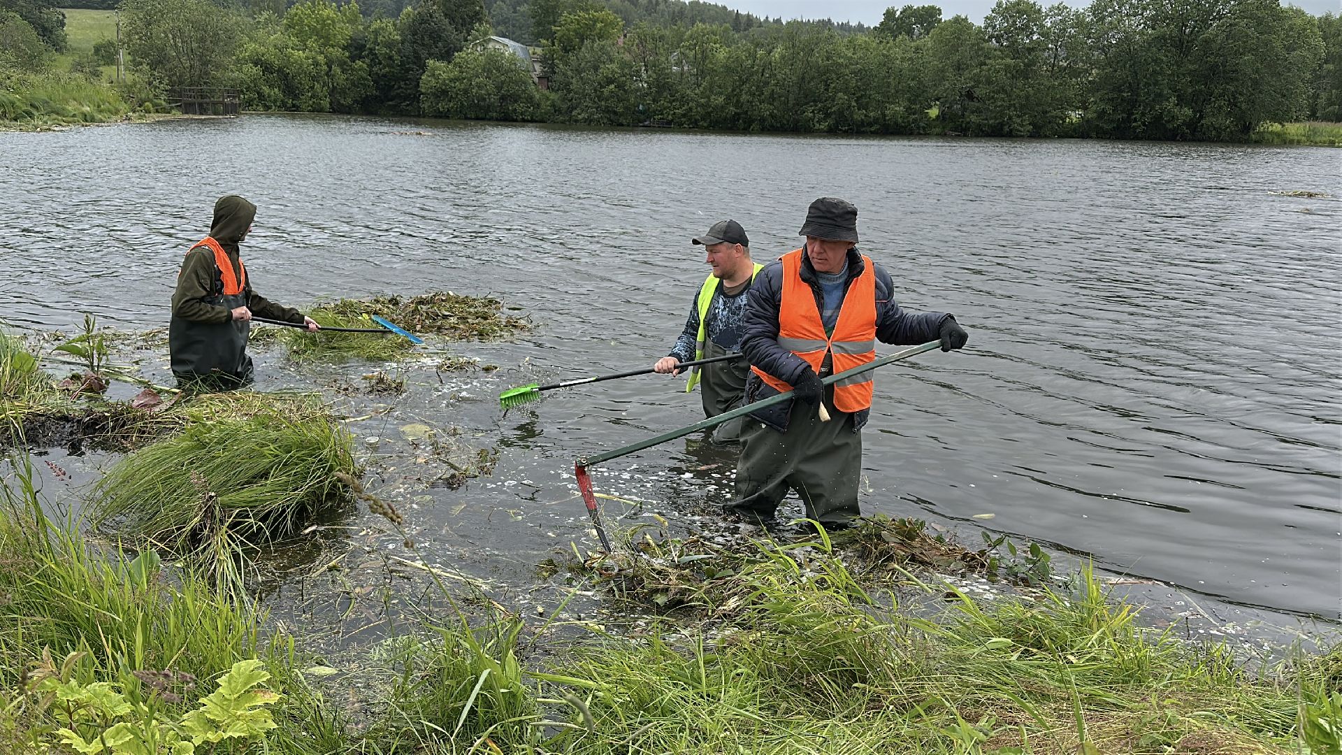экология, 100 прудов и озер, расчистка пруда, пушкинский городской округ,