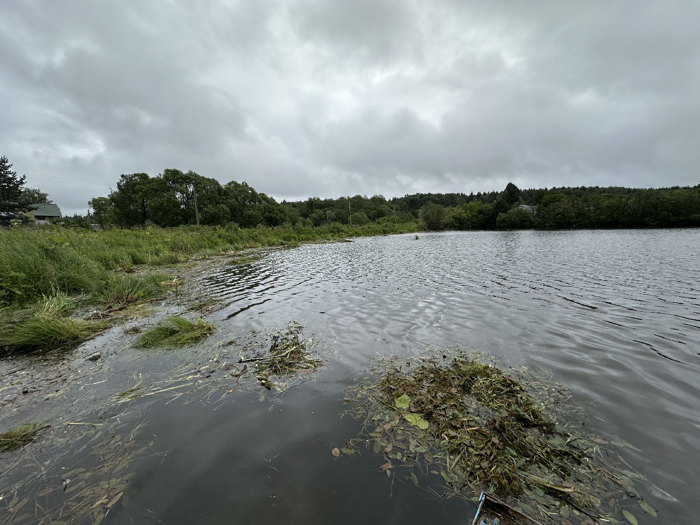 экология, 100 прудов и озер, расчистка пруда, пушкинский городской округ,