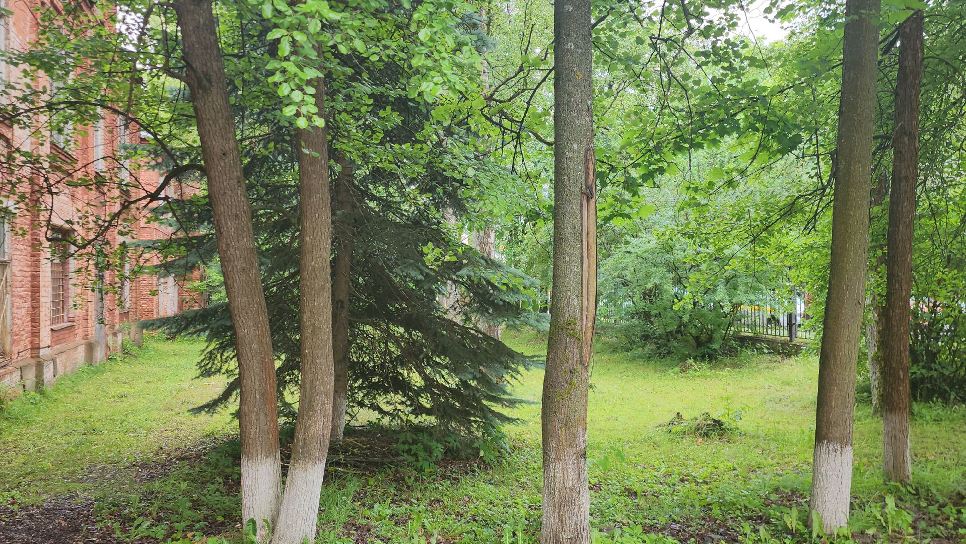 Истра, клещи, эпидемиолог, Медицина , Больница,