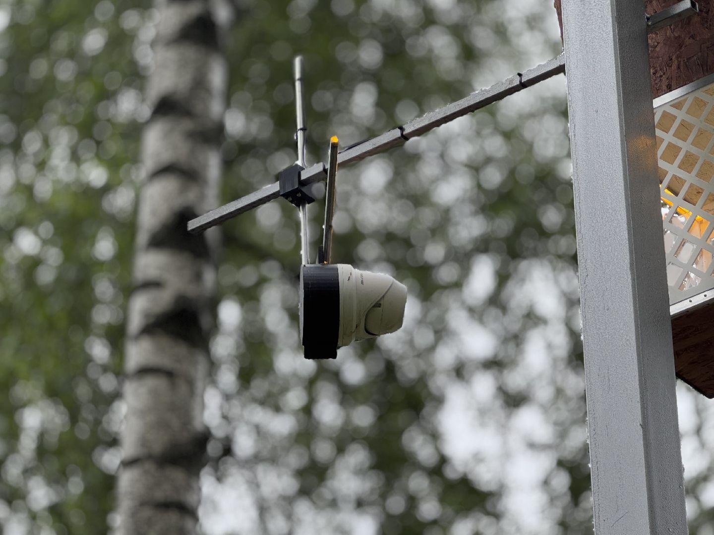 Белочка парк, Балашиха, парк Пехорка,