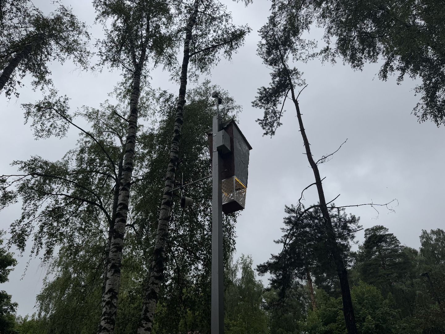 Белочка парк, Балашиха, парк Пехорка,