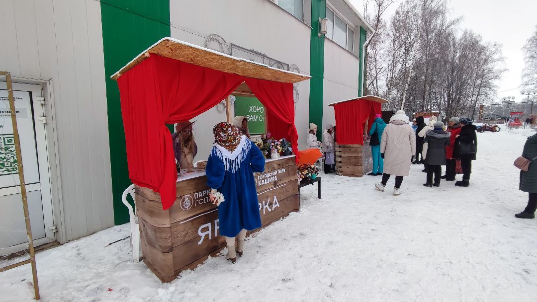 Кашира, общество