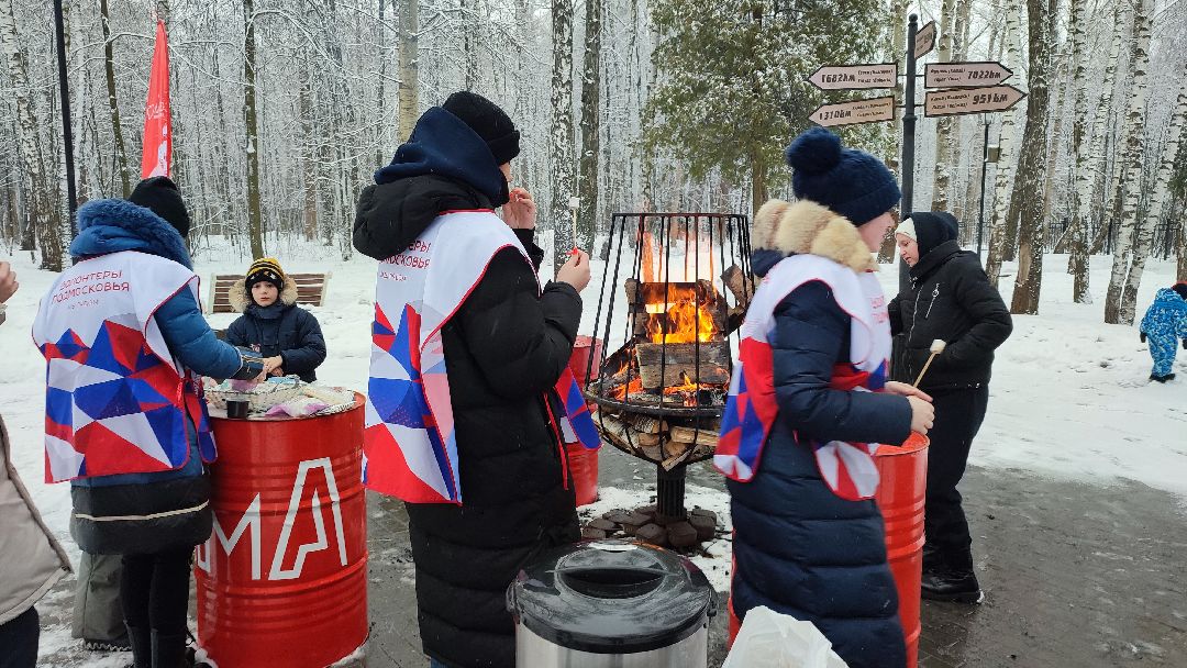 Кашира, общество