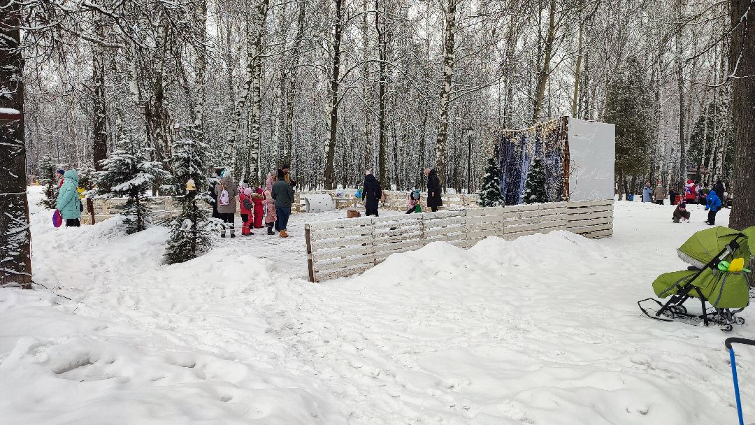 Кашира, общество