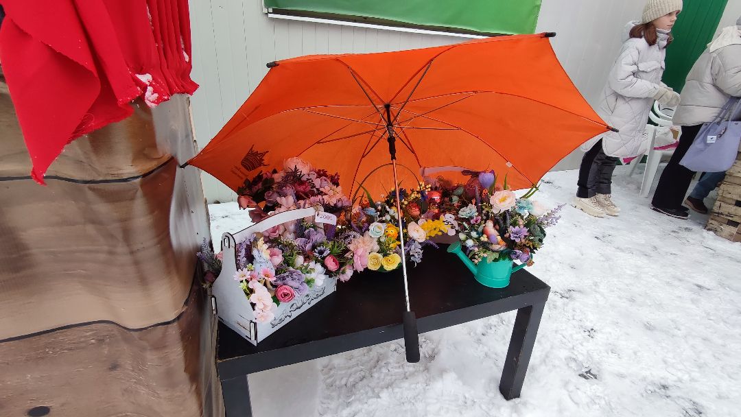 Кашира, общество