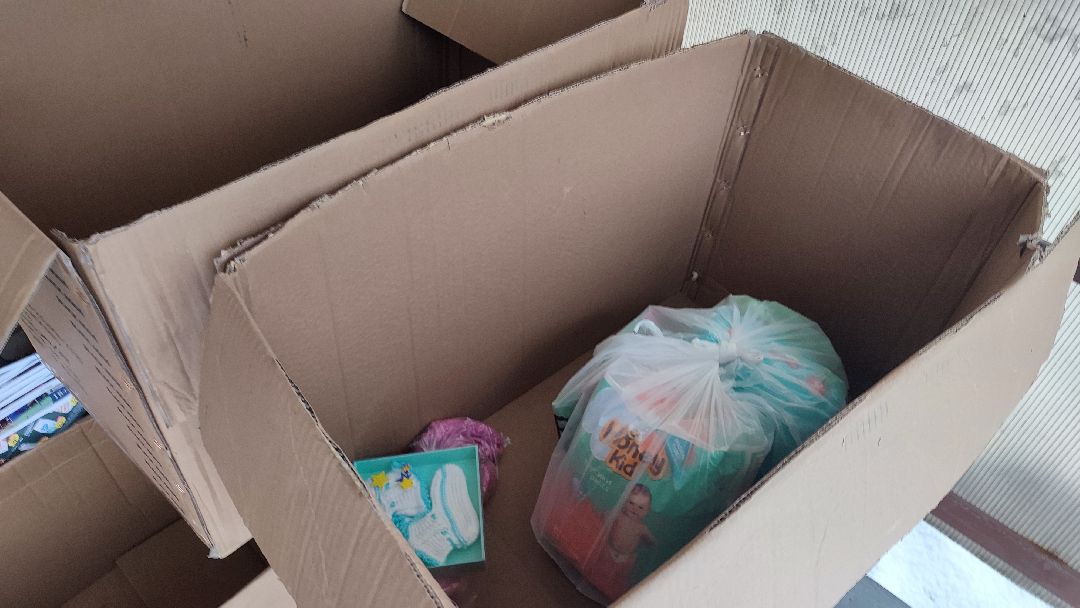 Кашира, общество