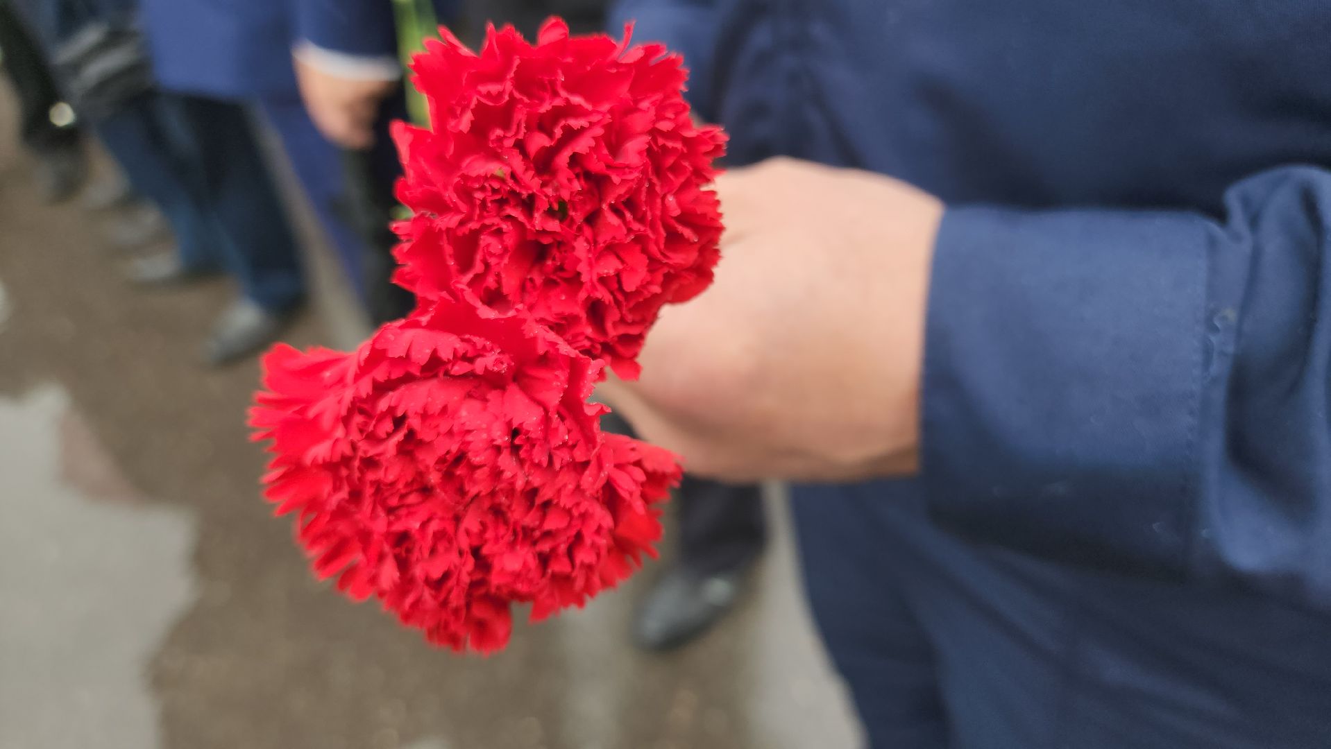 Егорьевск, Подмосковье, Московская область,