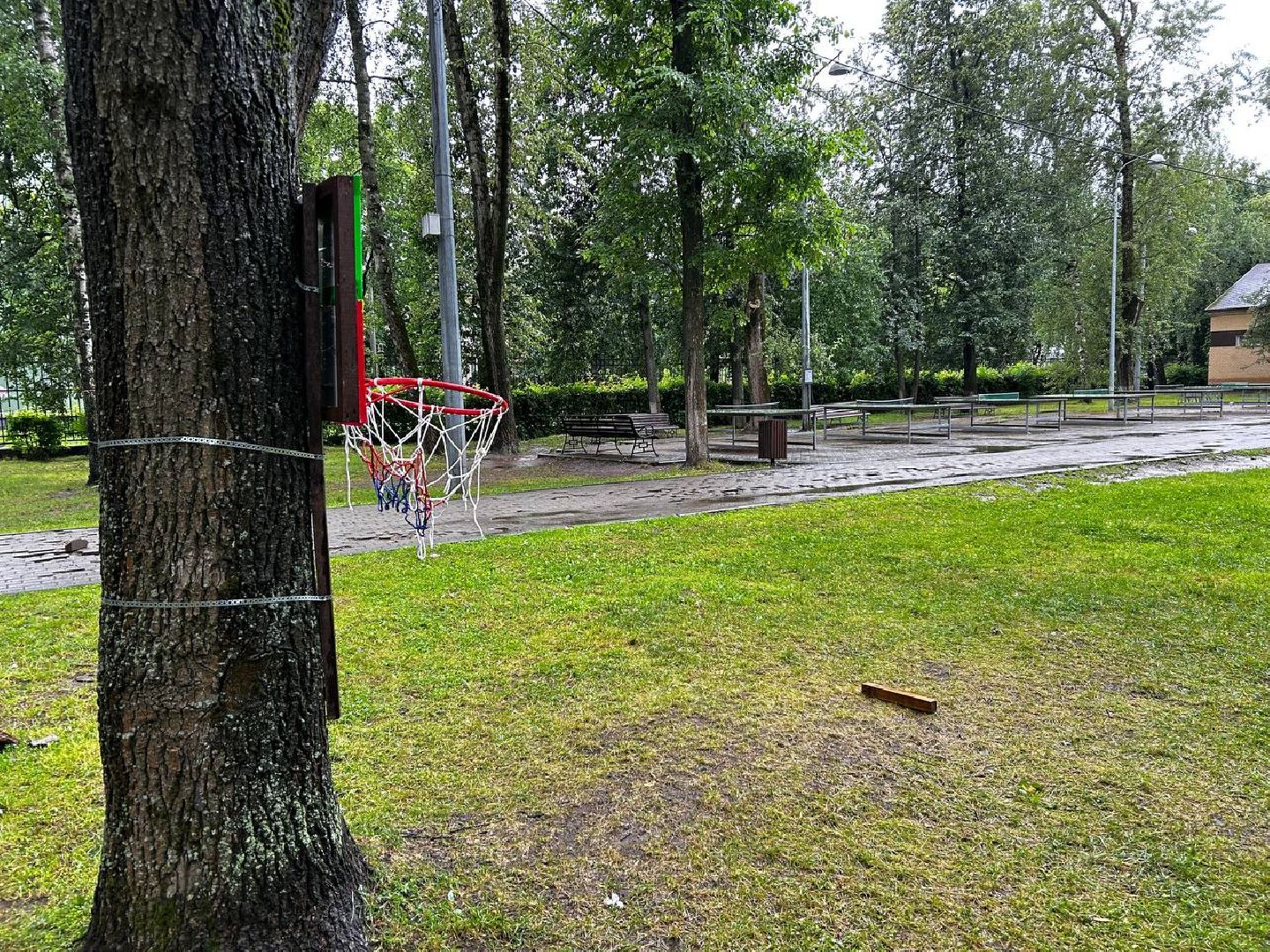 королёв, центральный городской парк ,  спорт для детей, благоустройство ,