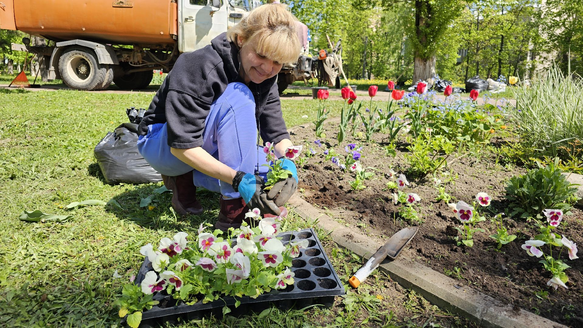 благоустройство, цветы, клумбы, 9 Мая, Дзержинский