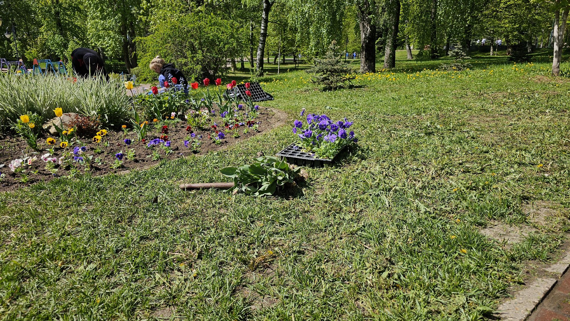 благоустройство, цветы, клумбы, 9 Мая, Дзержинский