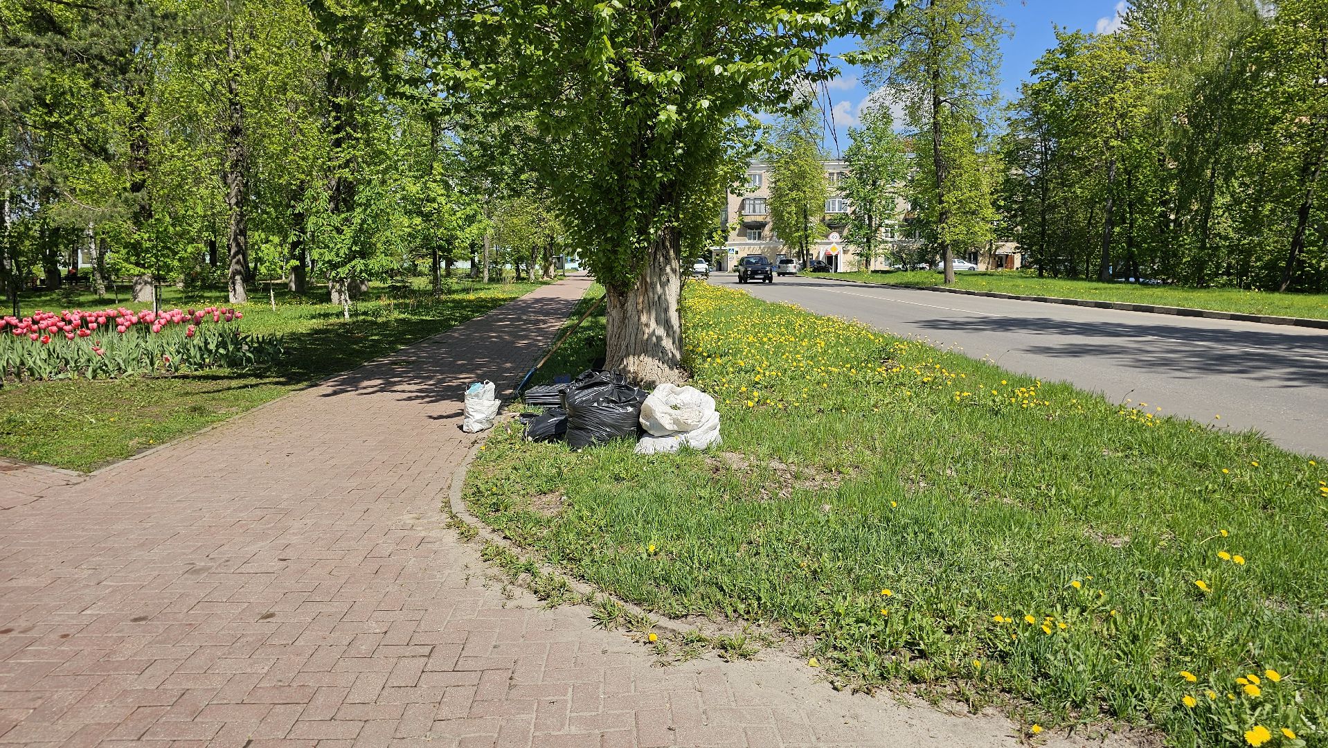 благоустройство, цветы, клумбы, 9 Мая, Дзержинский