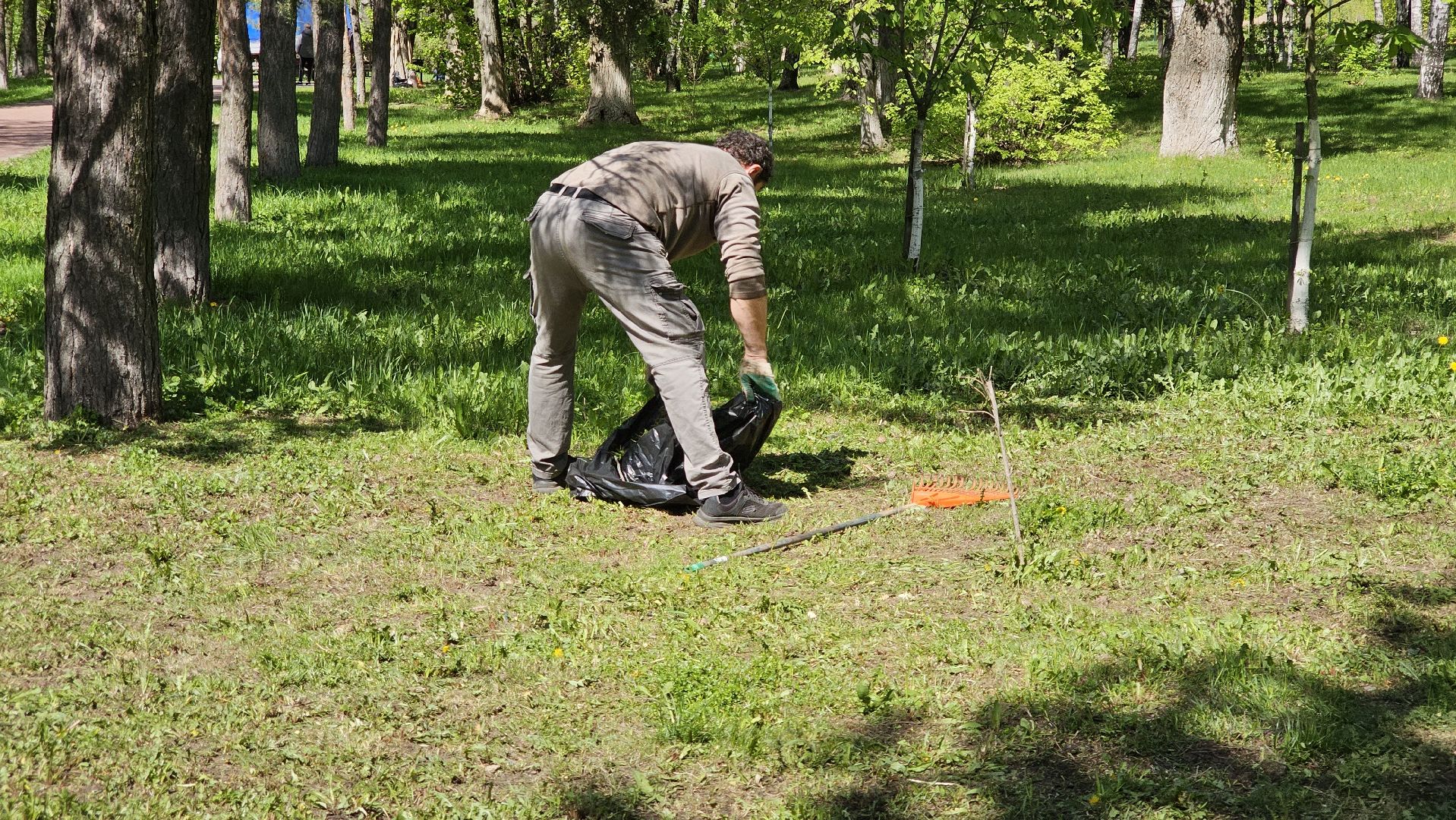 благоустройство, цветы, клумбы, 9 Мая, Дзержинский