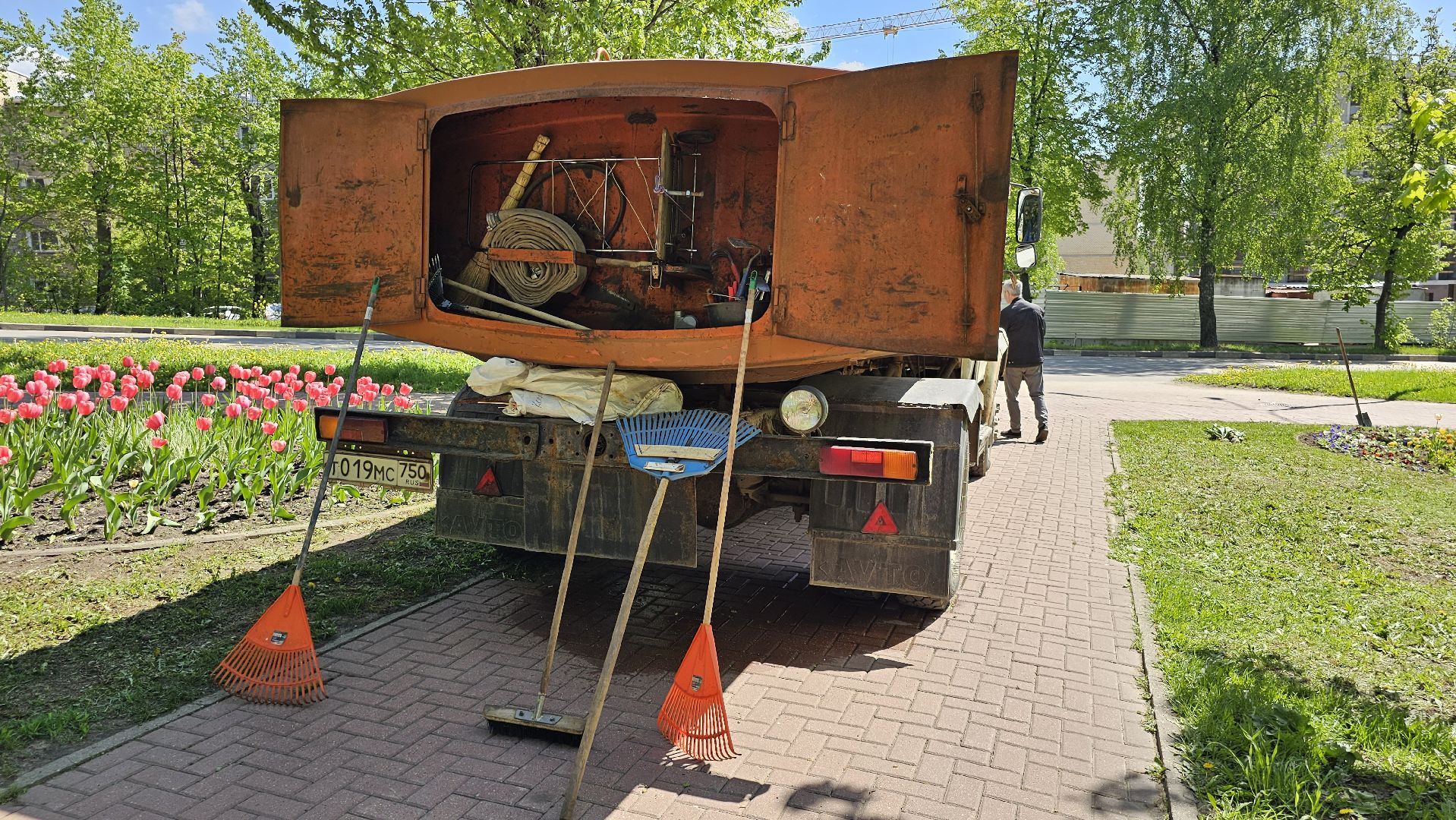 благоустройство, цветы, клумбы, 9 Мая, Дзержинский