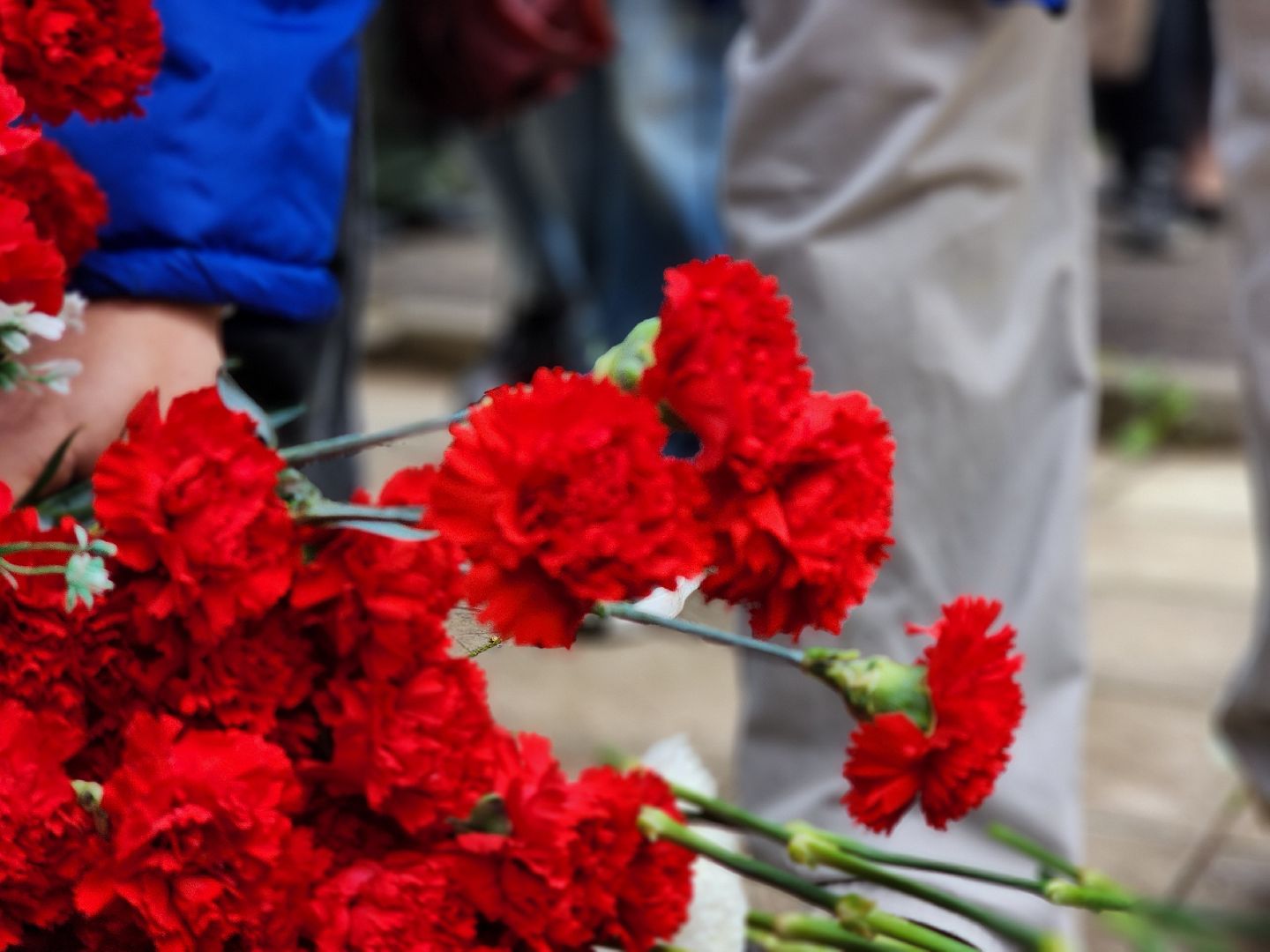 сергиев посад, сергиево-посадский городской округ, хотьково, ветераны боевых действий, день памяти воинов-интернационалистов, день ветеранов боевых действий,