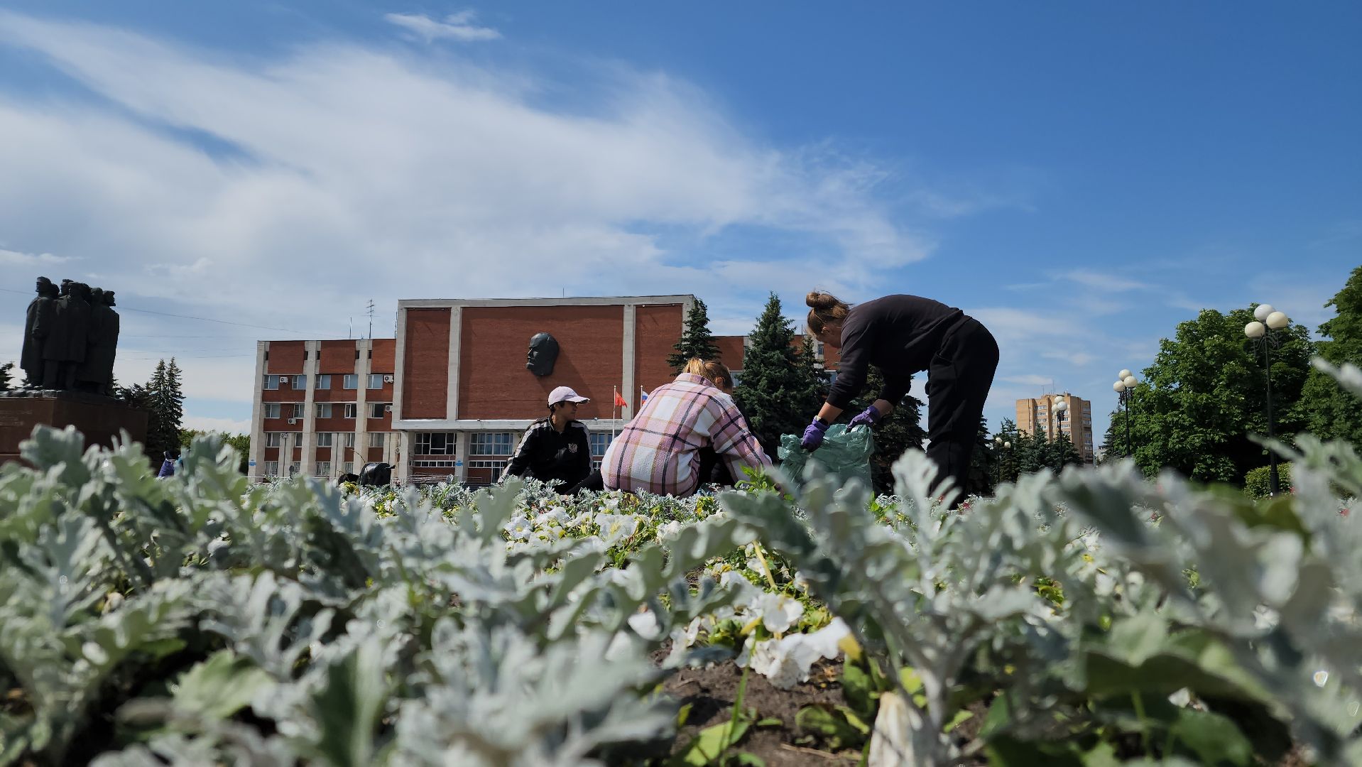 клумбы, цветы, орехово-зуевский округ, благоустройство 2025,