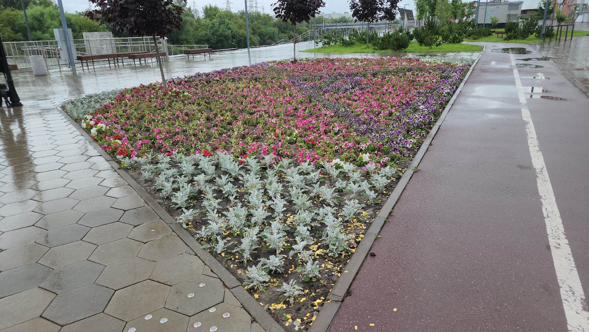 клумбы, цветы, орехово-зуевский округ, благоустройство 2025,