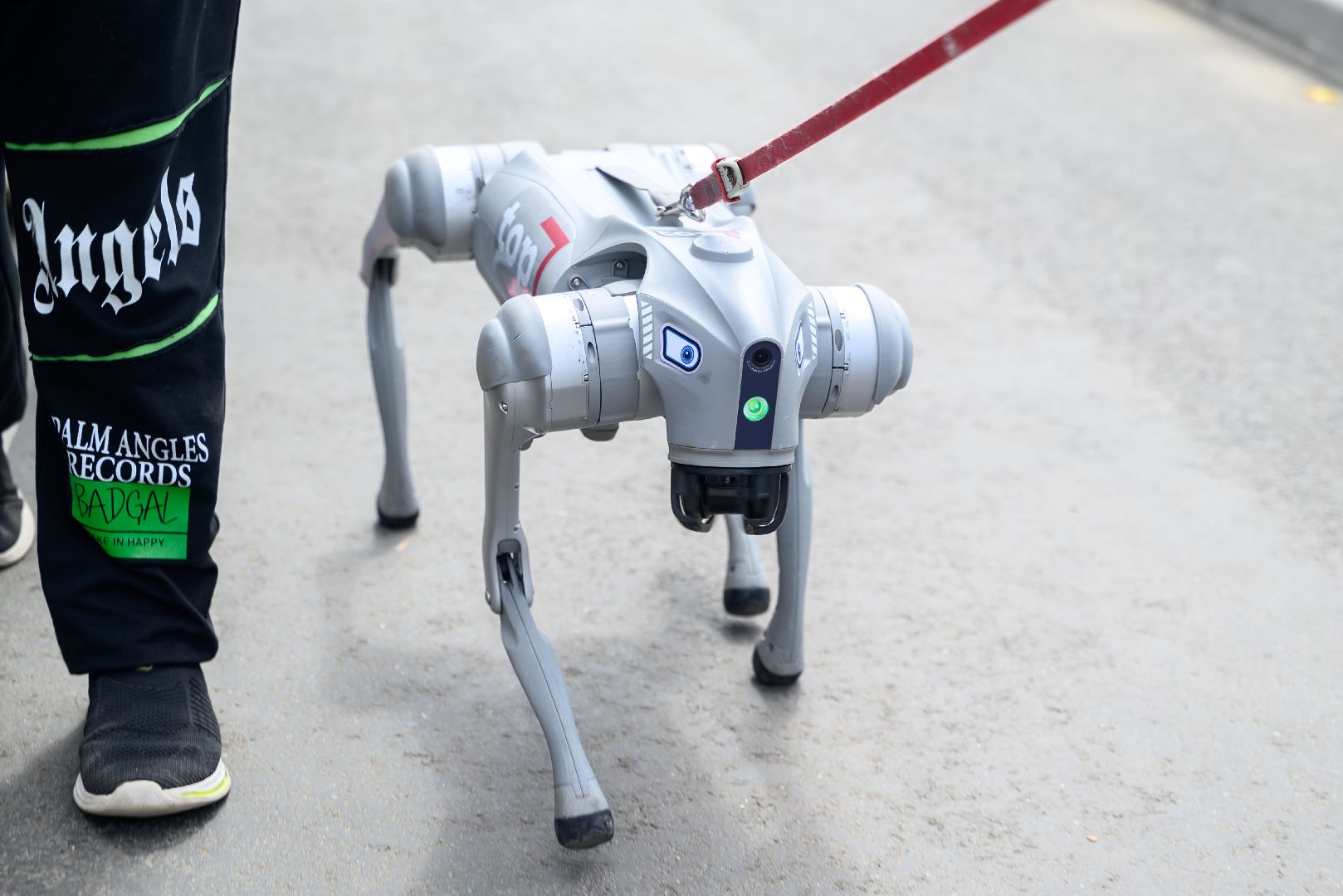 лыткарино, общество, робот, робот-пес, компьютерная академия,