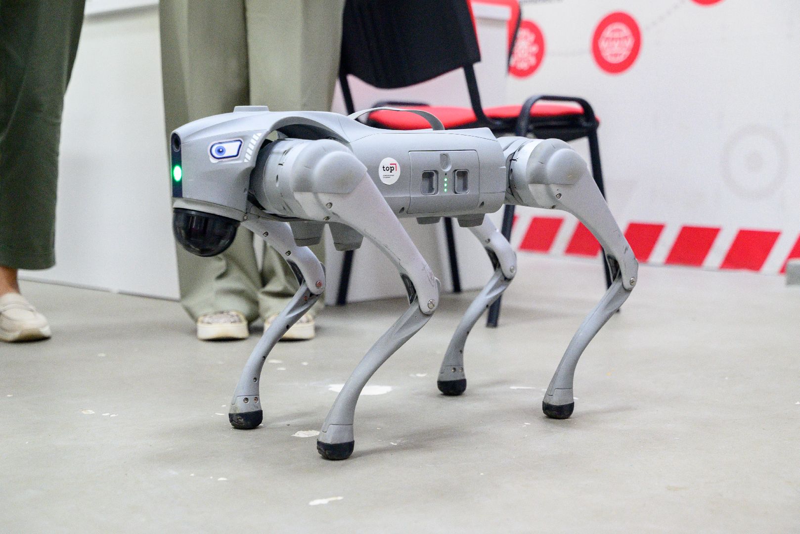 лыткарино, общество, робот, робот-пес, компьютерная академия,